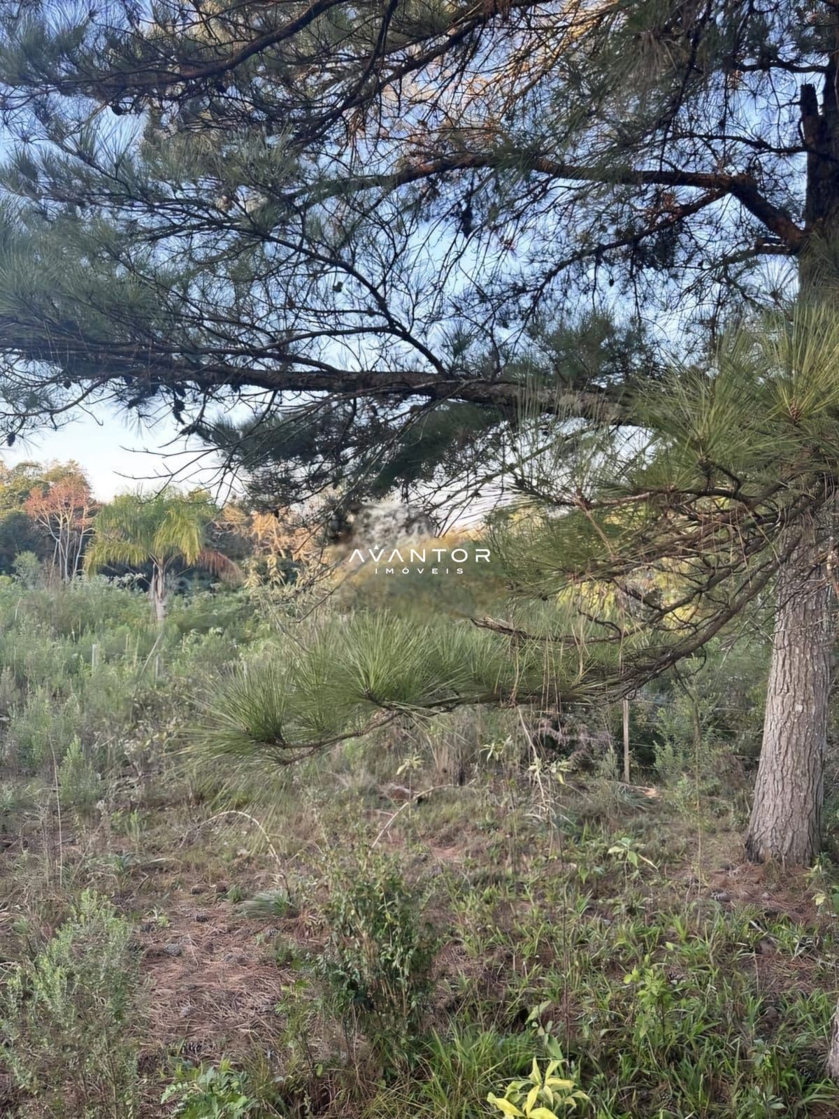 Terreno à venda no Balneario Novo Pinhal, em Parque Serrano I, Itaara/RS