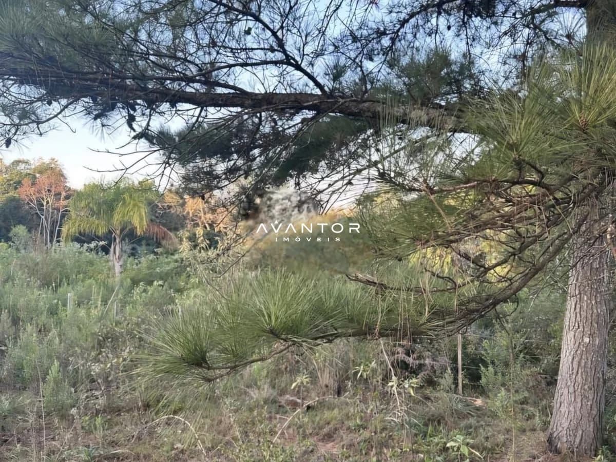 Balneario Novo Pinhal, Parque Serrano I, Itaara/RS — foto 1 de 1