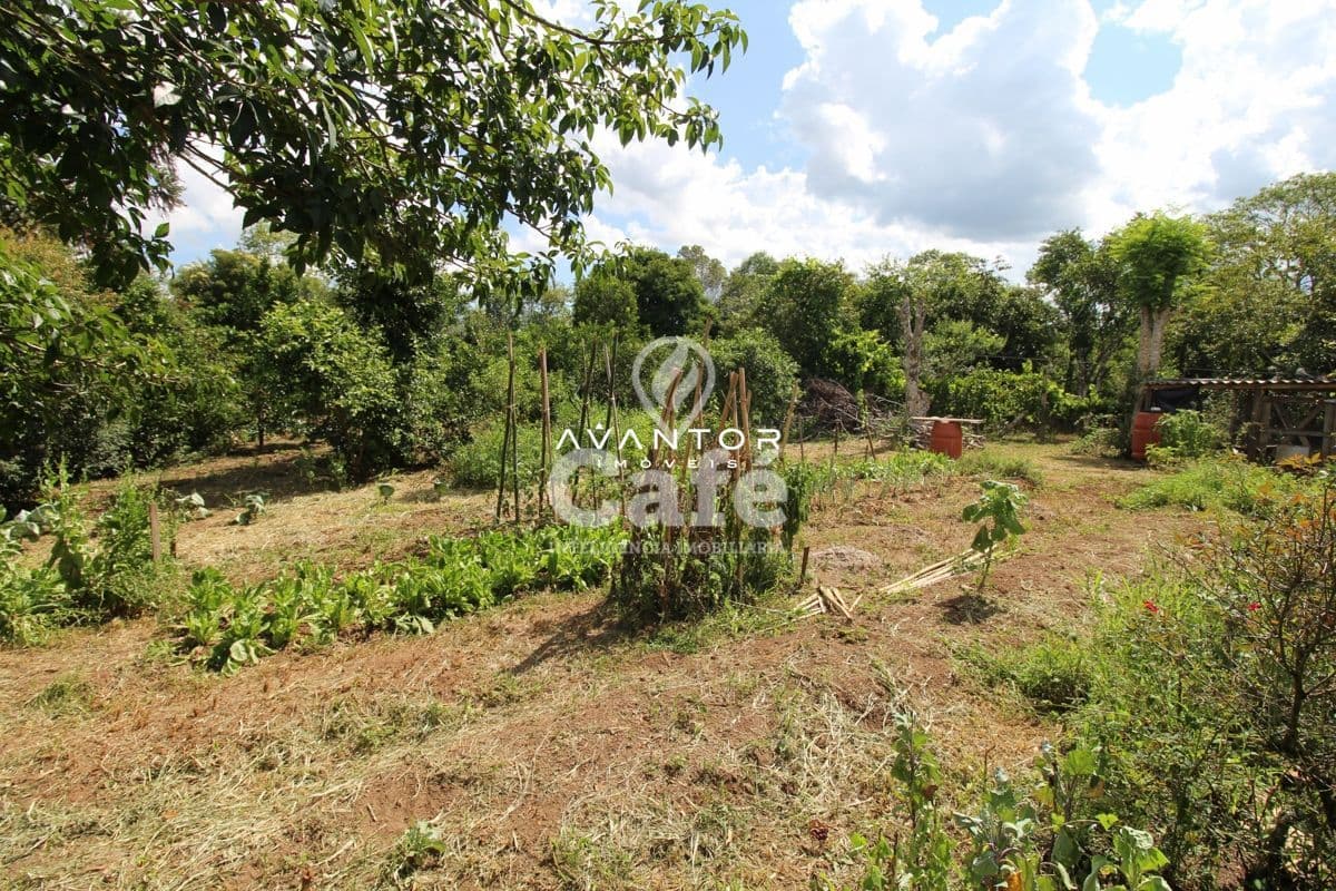 Chácara com 2 quartos à venda em Estação do Pinhal, Itaara/RS — foto 7 de 29