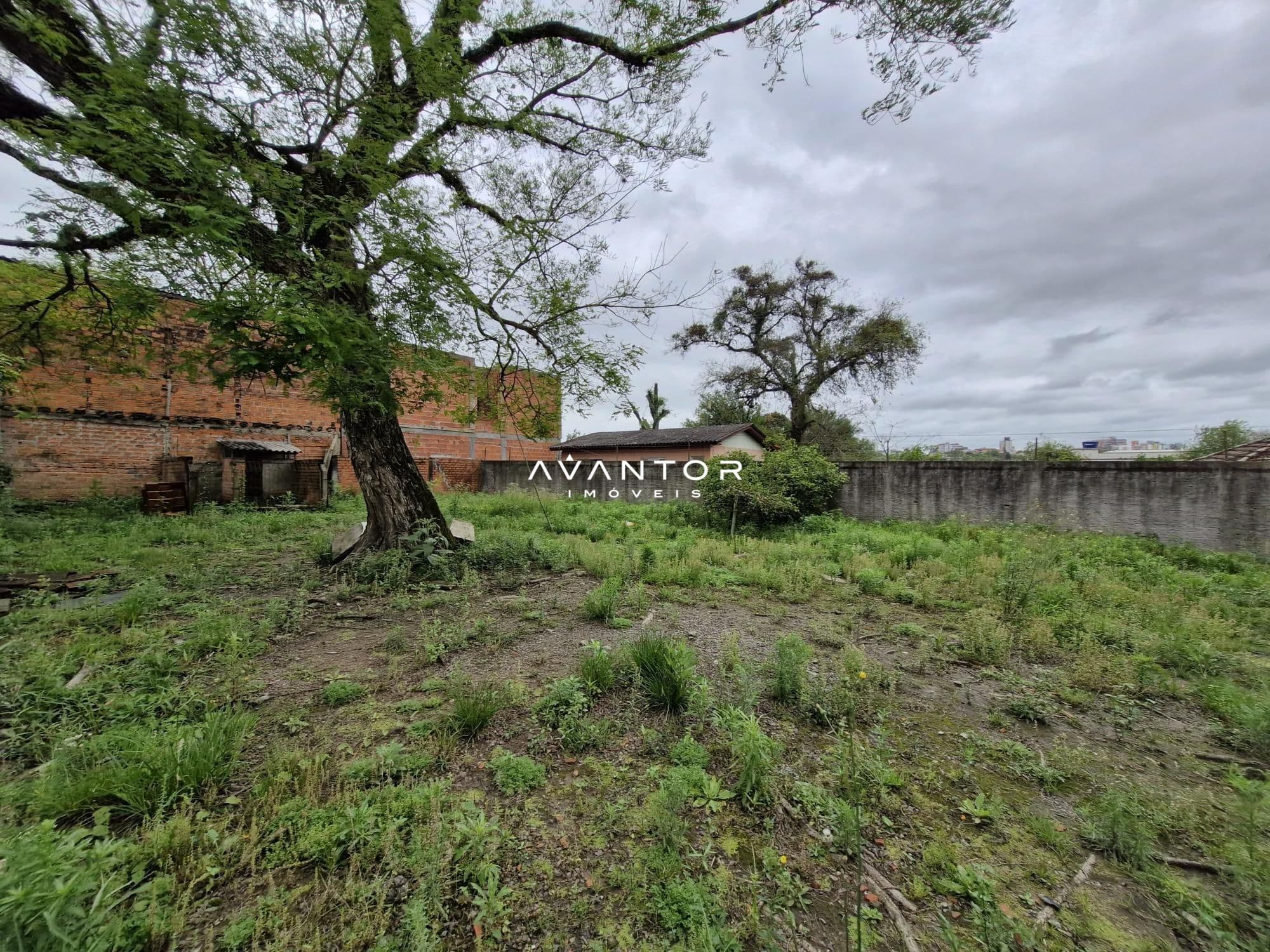 Casa com 3 quartos à venda em Nossa Senhora do Perpétuo Socorro, Santa Maria/RS — foto 14 de 16