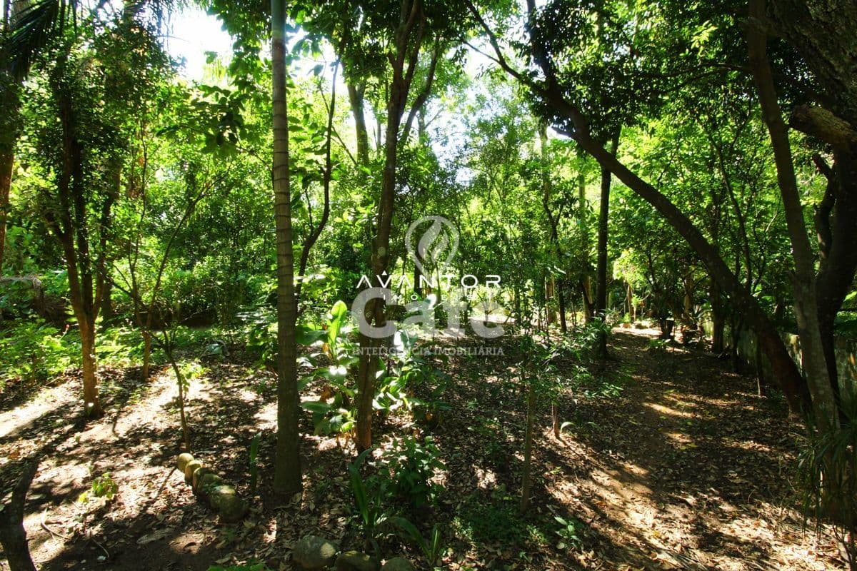 Casa com 3 quartos à venda em Duque de Caxias, Santa Maria/RS — foto 13 de 14