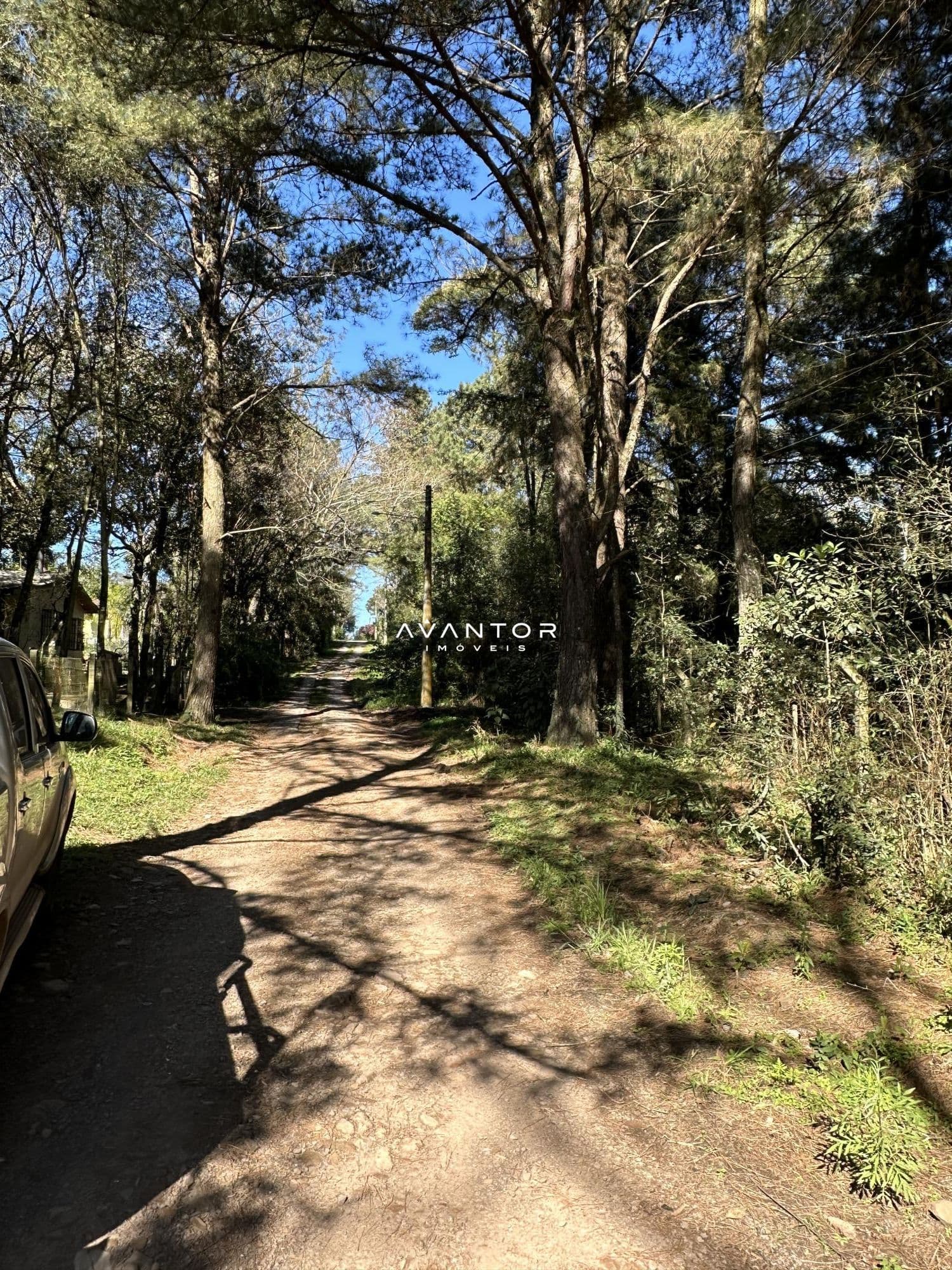 Casa com 5 quartos à venda em Etelvina, Itaara/RS — foto 7 de 27