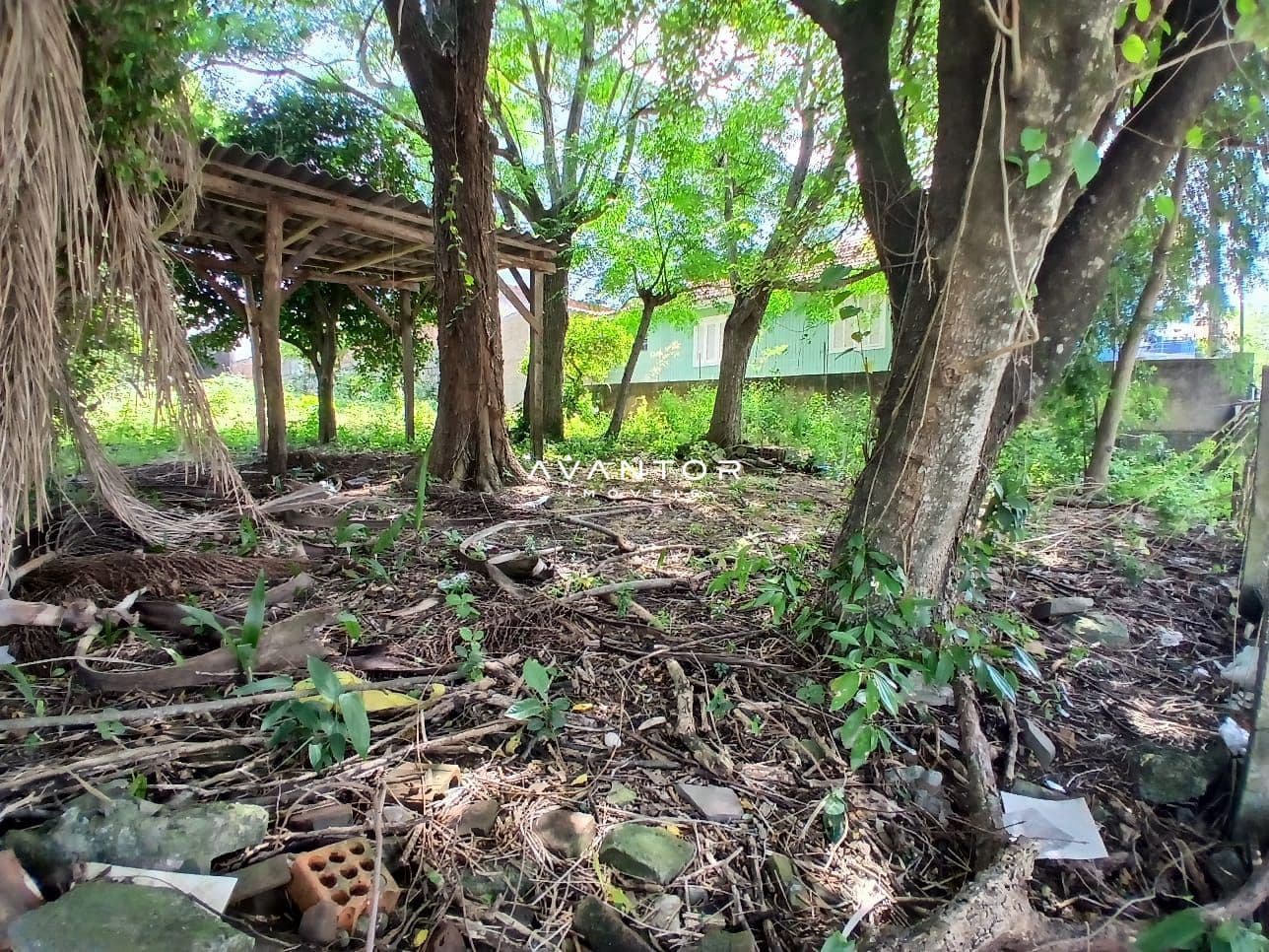 Terreno à venda em Nossa Senhora do Rosário, Santa Maria/RS — foto 5 de 7