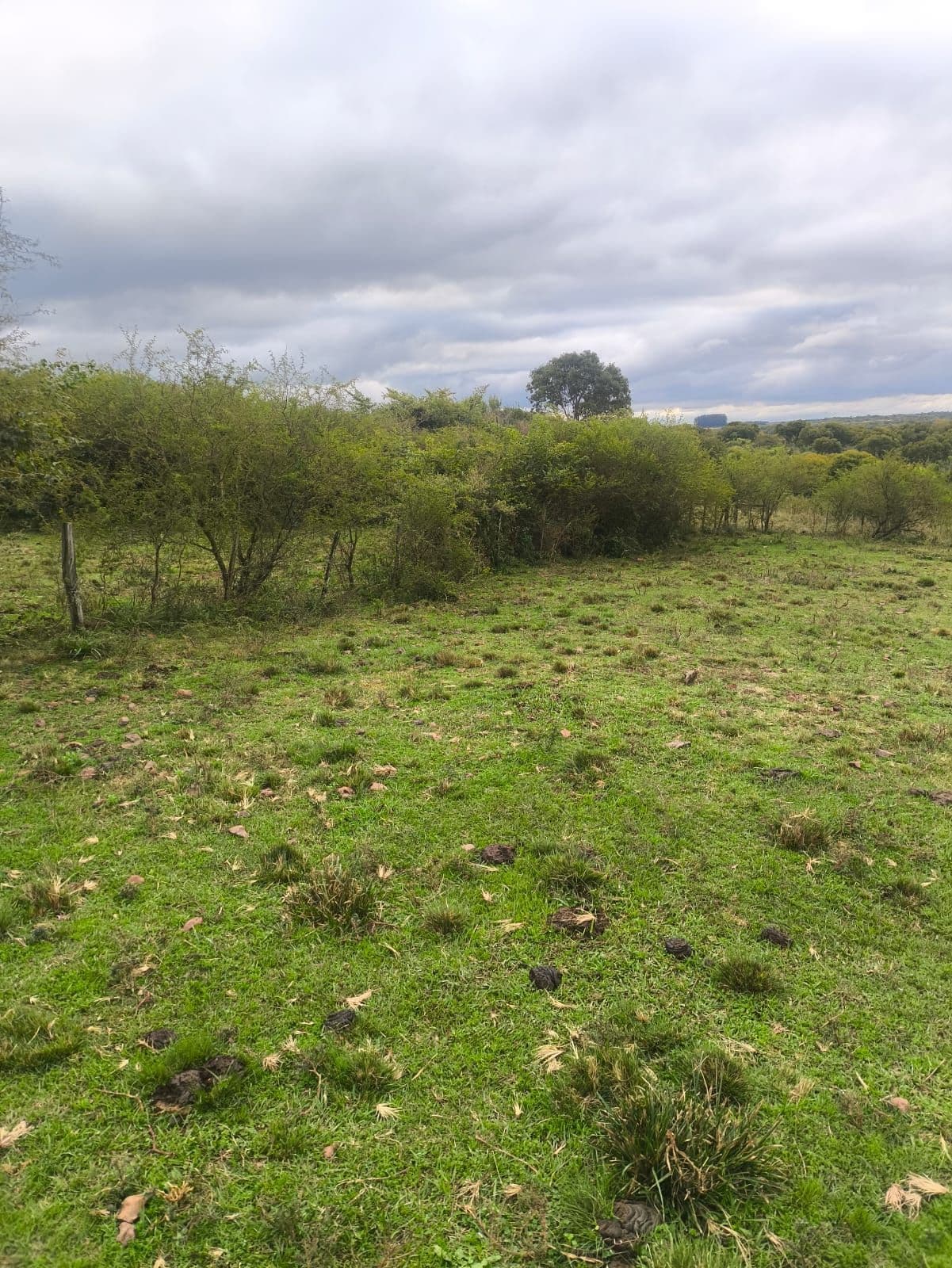 Campo à venda em Zona Rural, Itacurubi/RS — foto 3 de 4