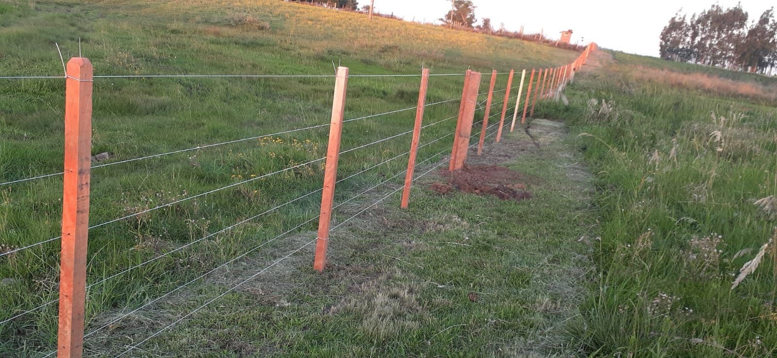 Terreno com cerca de madeira — Chácara com 1 quarto à venda em Interior, Dilermando de Aguiar/RS