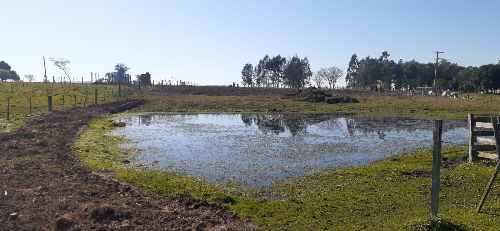 Chácara com 1 quarto à venda em Interior, Dilermando de Aguiar/RS — foto 6 de 10