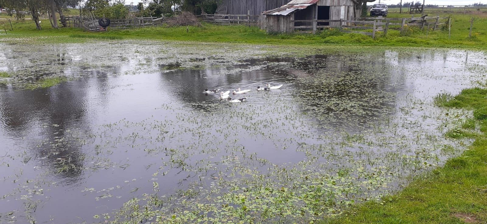 Chácara com 1 quarto à venda em Interior, Dilermando de Aguiar/RS — foto 8 de 10