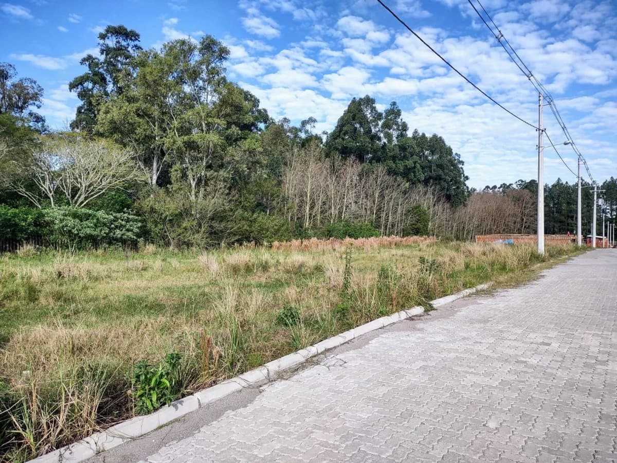 Terreno com vegetação e acesso pavimentado — Terreno à venda em Camobi, Santa Maria/RS