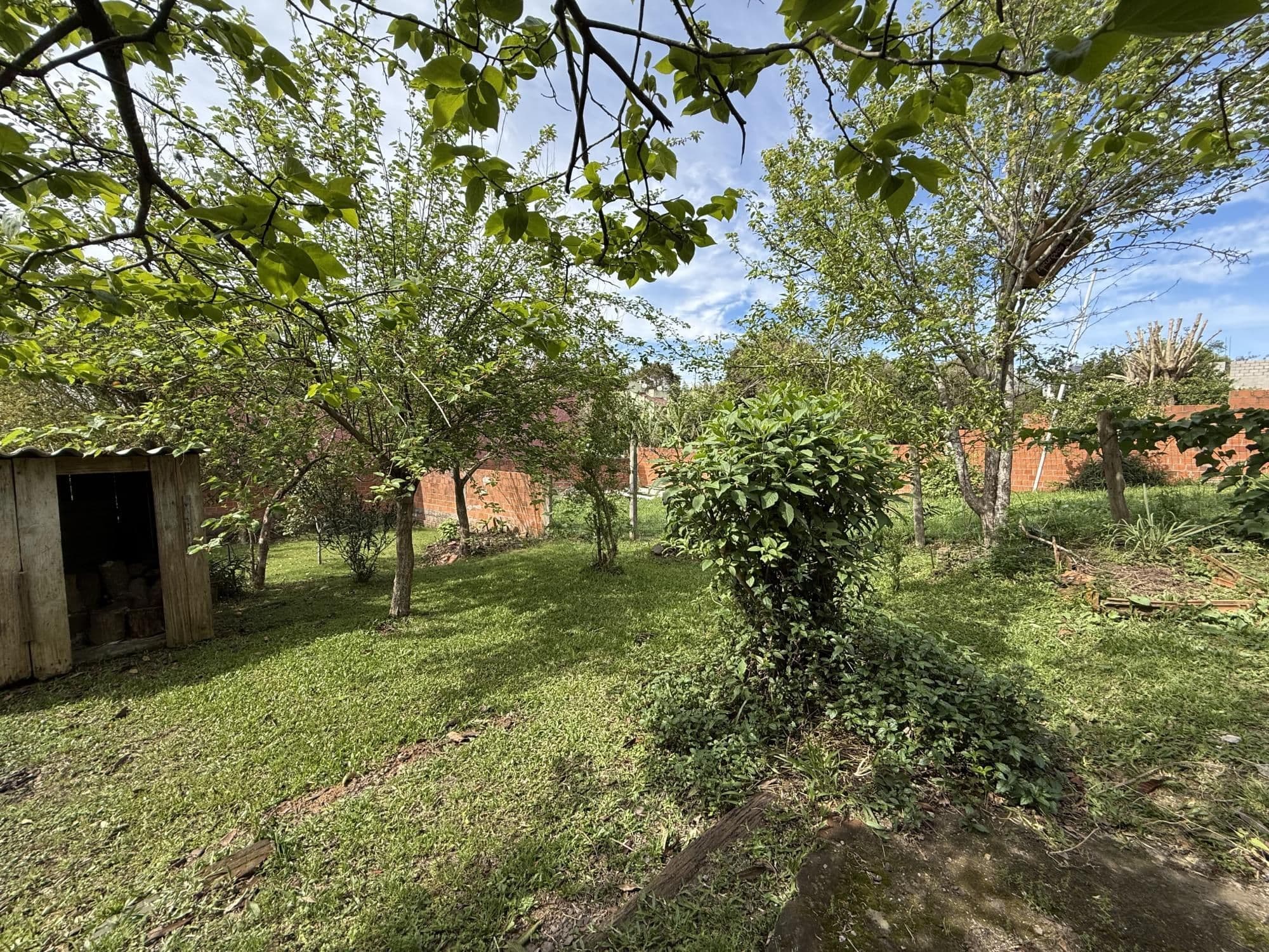 Casa com 5 quartos à venda em Camobi, Santa Maria/RS — foto 15 de 17