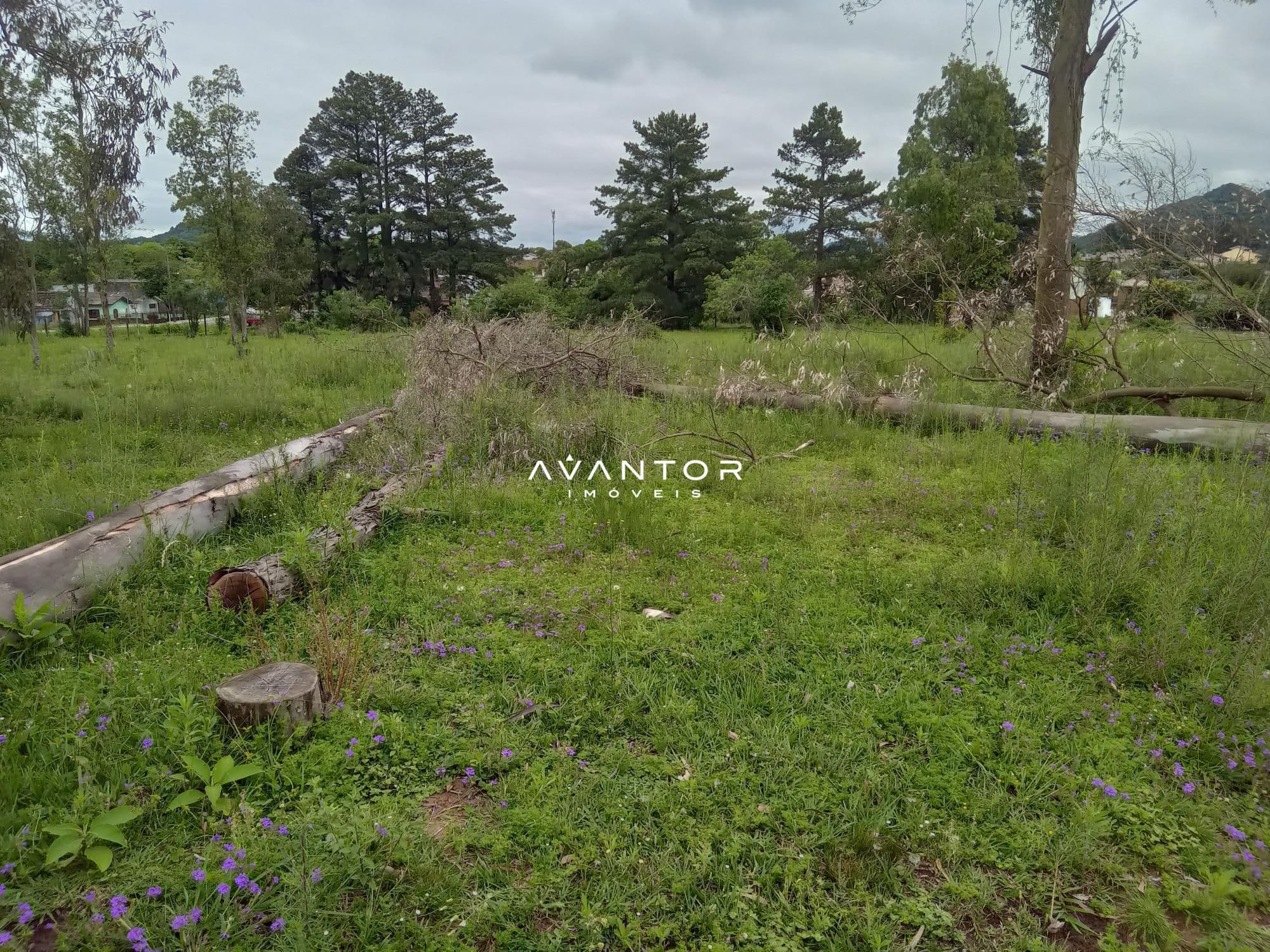 Terreno à venda em São José, Santa Maria/RS — foto 6 de 7