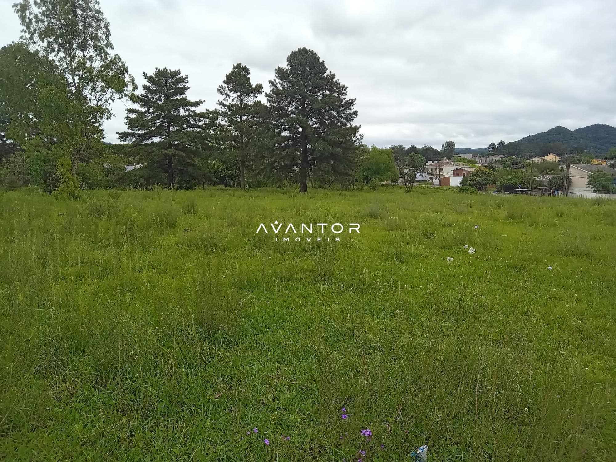 Terreno à venda em São José, Santa Maria/RS — foto 7 de 7