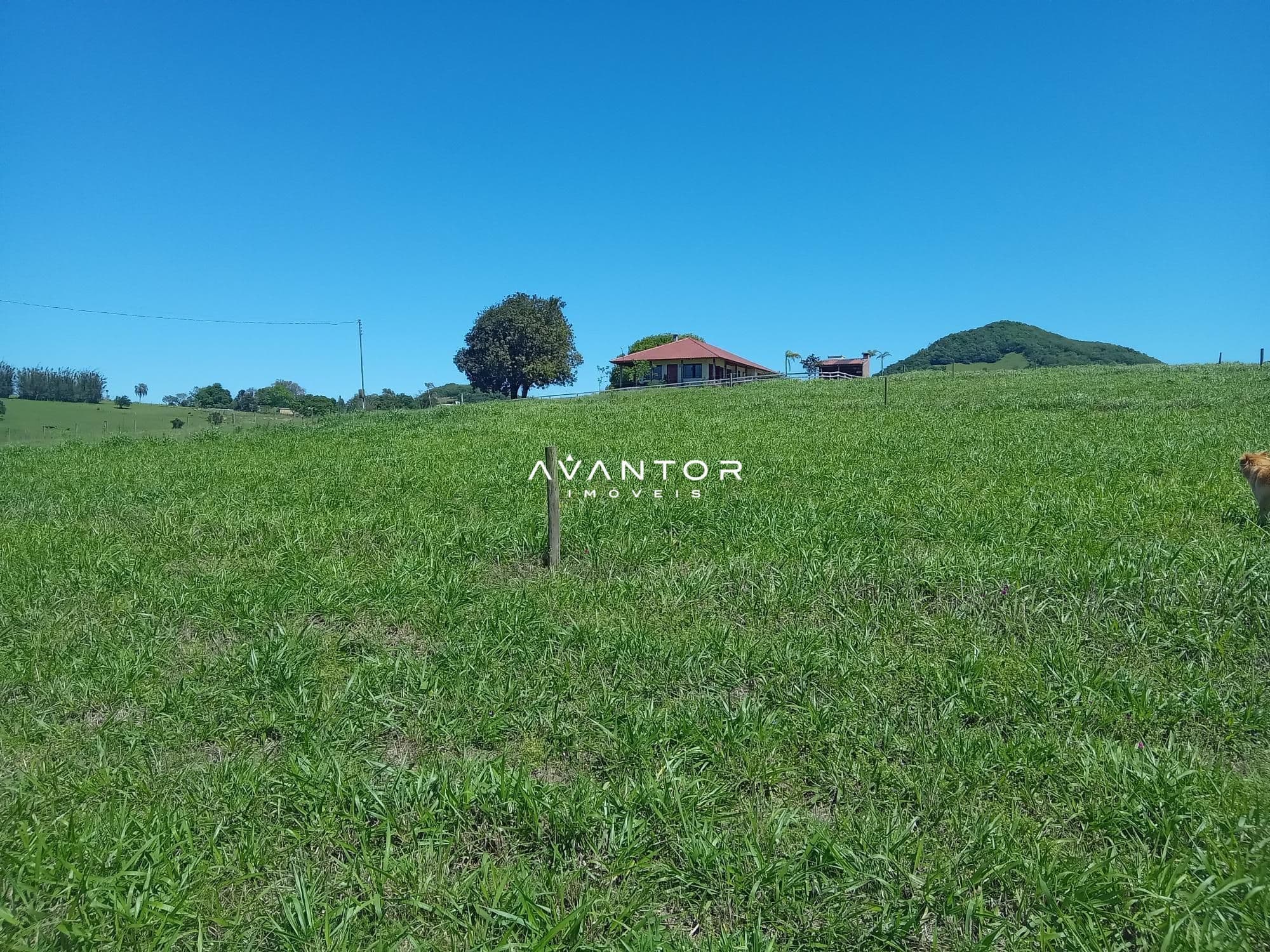 Chácara com 3 quartos à venda em Zona Rural, São Pedro do Sul/RS — foto 3 de 33