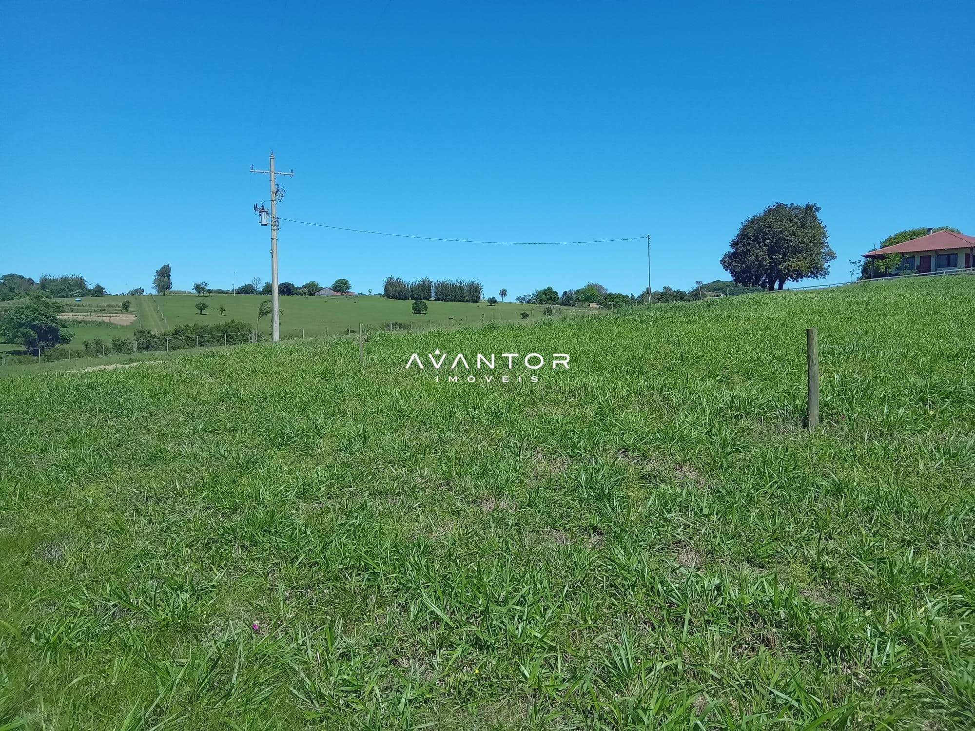 Chácara com 3 quartos à venda em Zona Rural, São Pedro do Sul/RS — foto 4 de 33
