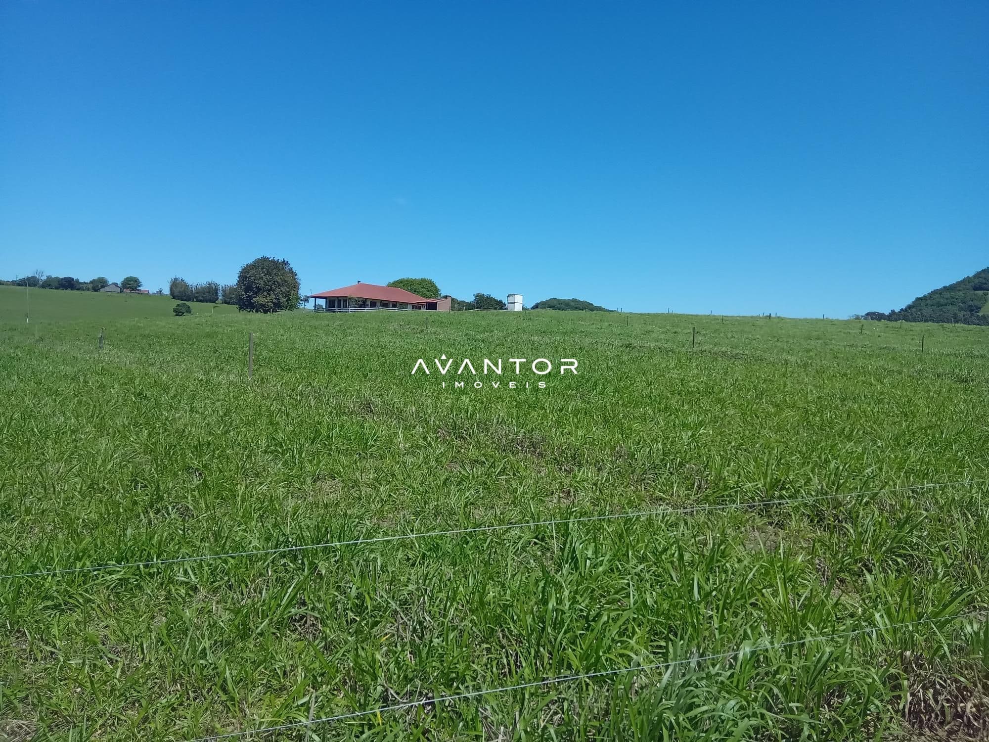 Chácara com 3 quartos à venda em Zona Rural, São Pedro do Sul/RS — foto 5 de 33