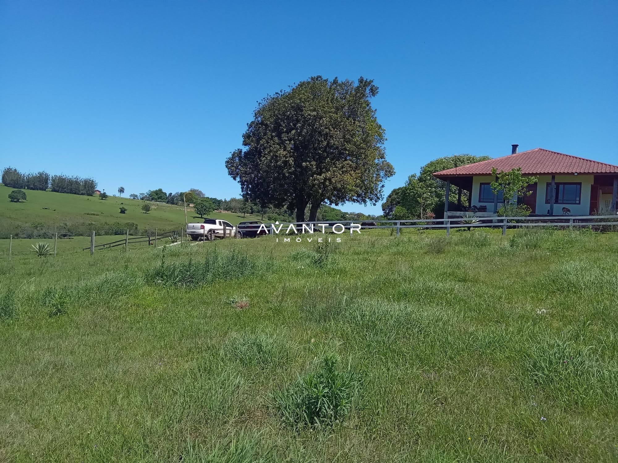 Chácara com 3 quartos à venda em Zona Rural, São Pedro do Sul/RS — foto 8 de 33