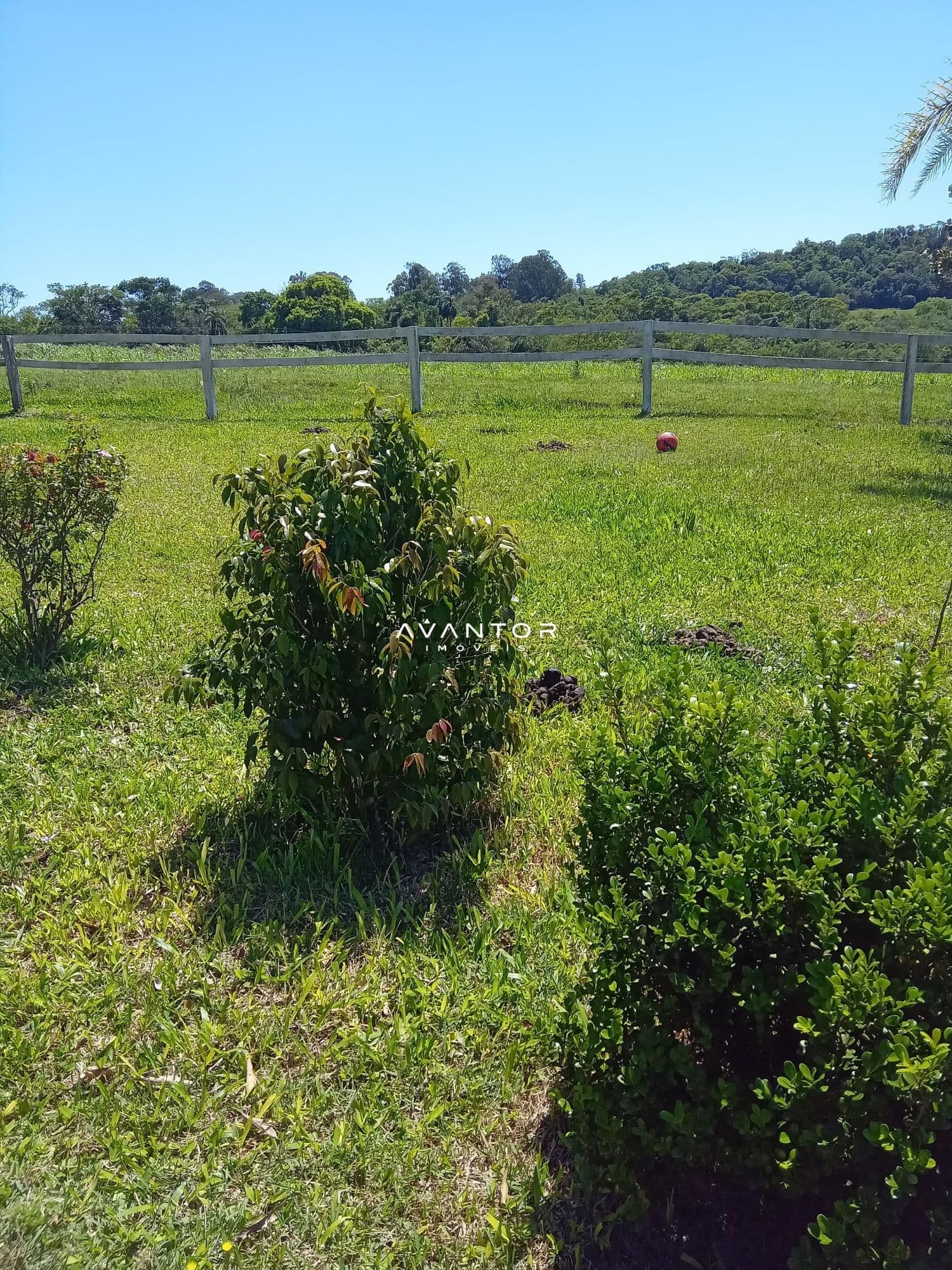 Chácara com 3 quartos à venda em Zona Rural, São Pedro do Sul/RS — foto 9 de 33