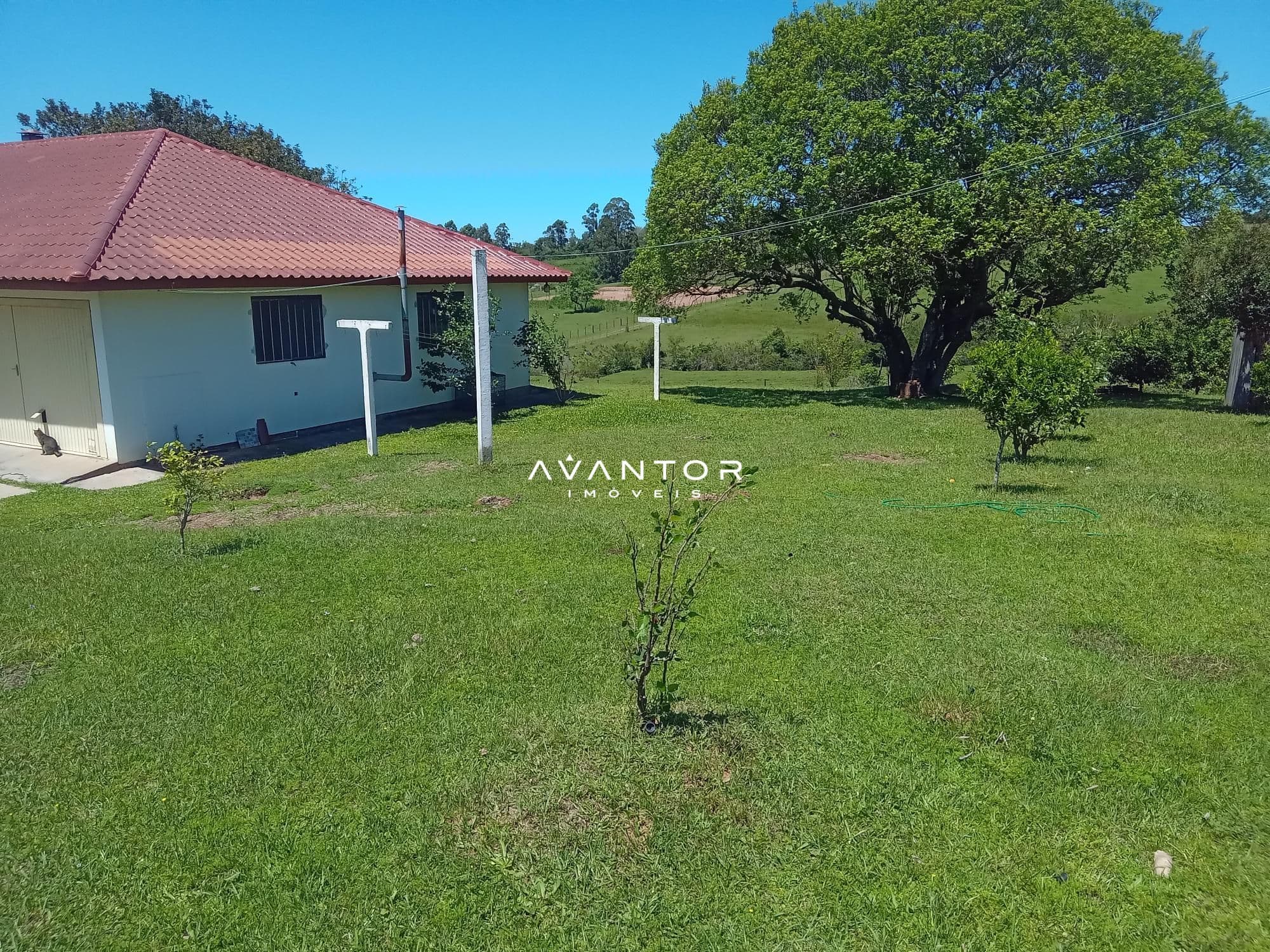 Chácara com 3 quartos à venda em Zona Rural, São Pedro do Sul/RS — foto 13 de 33