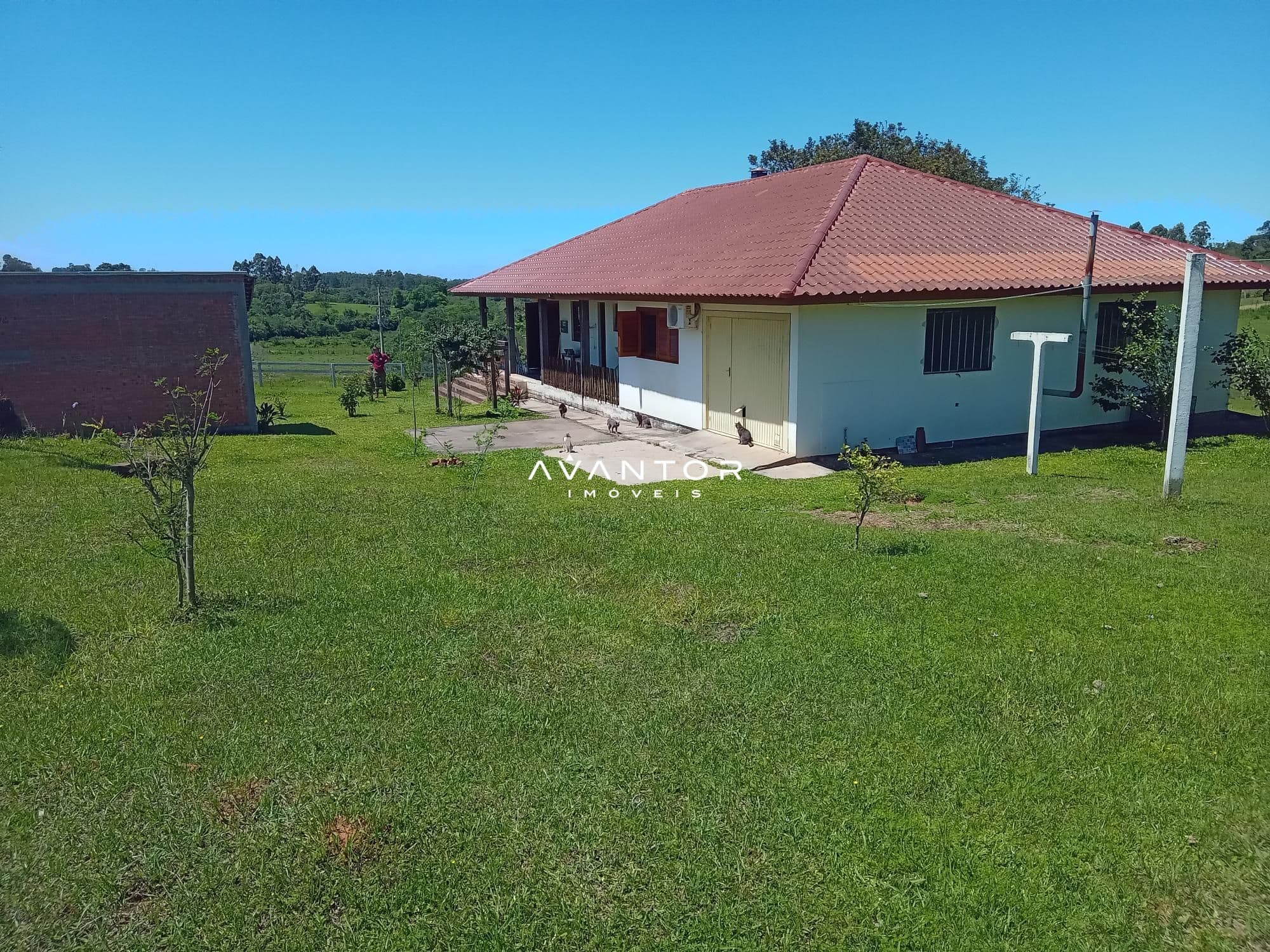 Chácara com 3 quartos à venda em Zona Rural, São Pedro do Sul/RS — foto 14 de 33