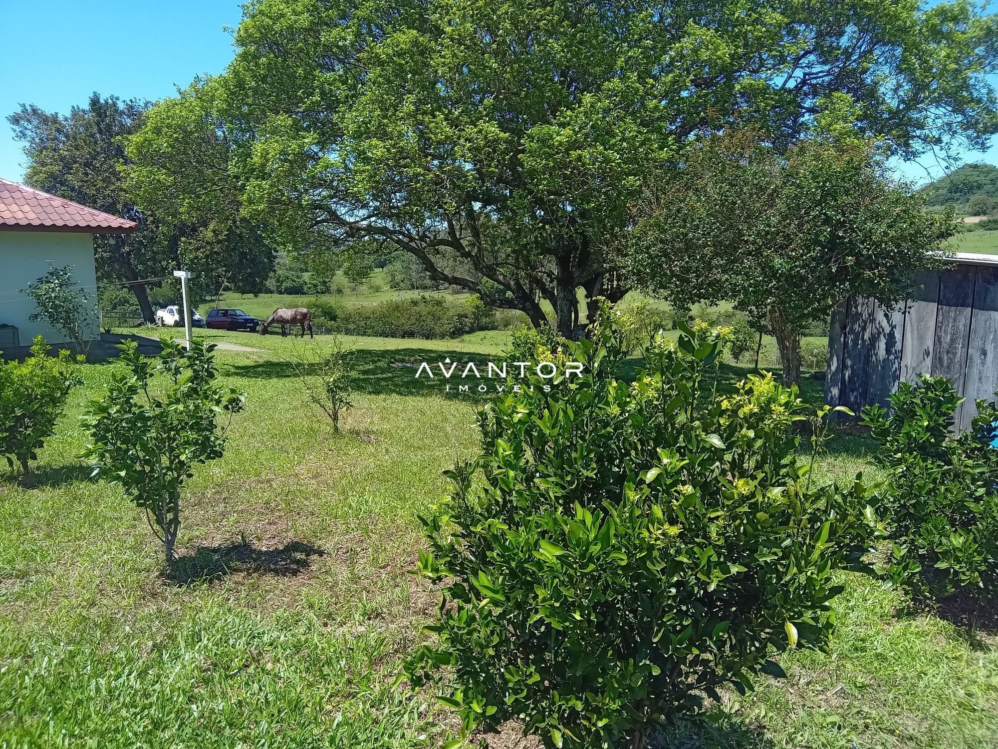 Chácara com 3 quartos à venda em Zona Rural, São Pedro do Sul/RS — foto 16 de 33