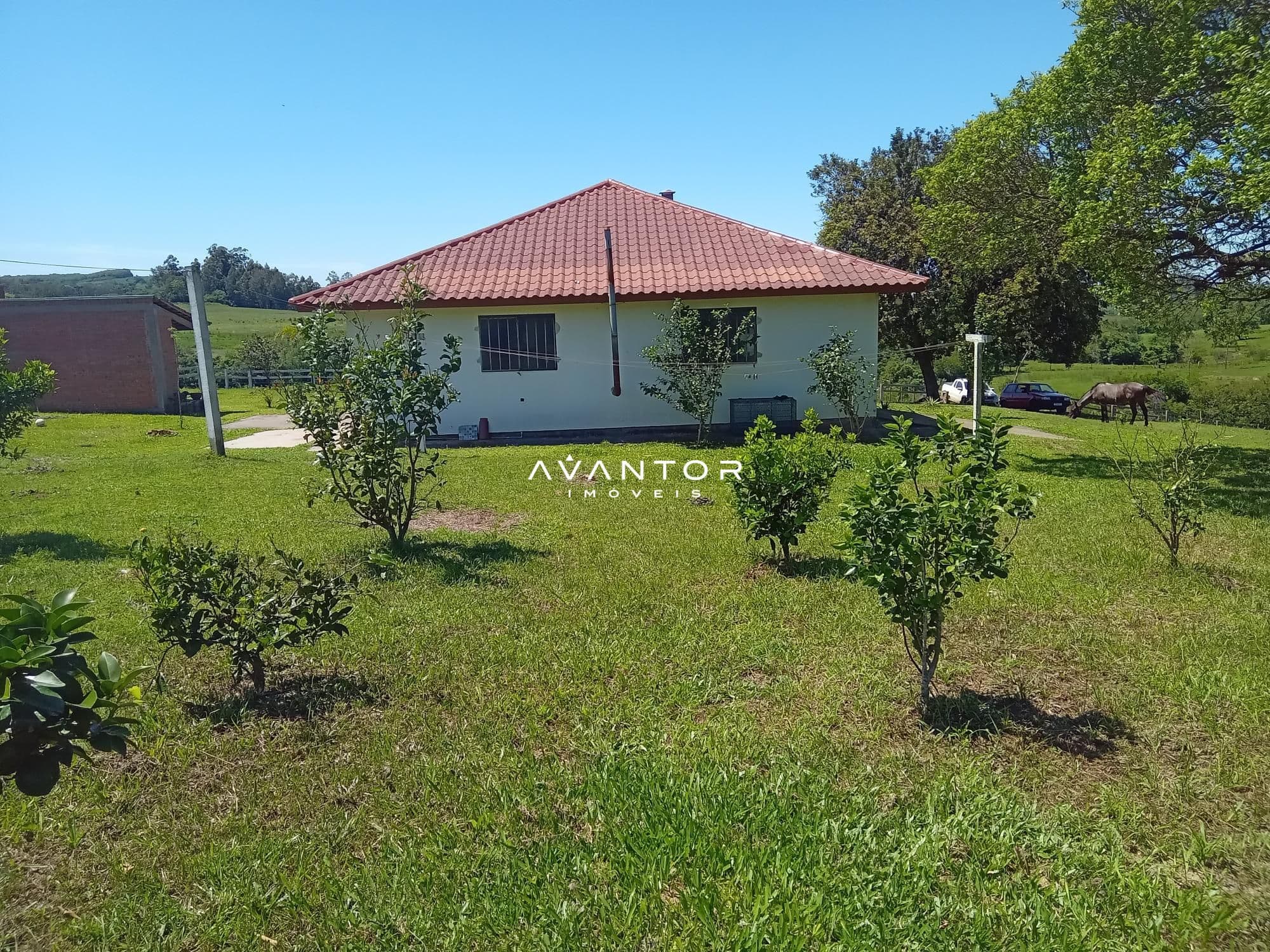 Chácara com 3 quartos à venda em Zona Rural, São Pedro do Sul/RS — foto 17 de 33