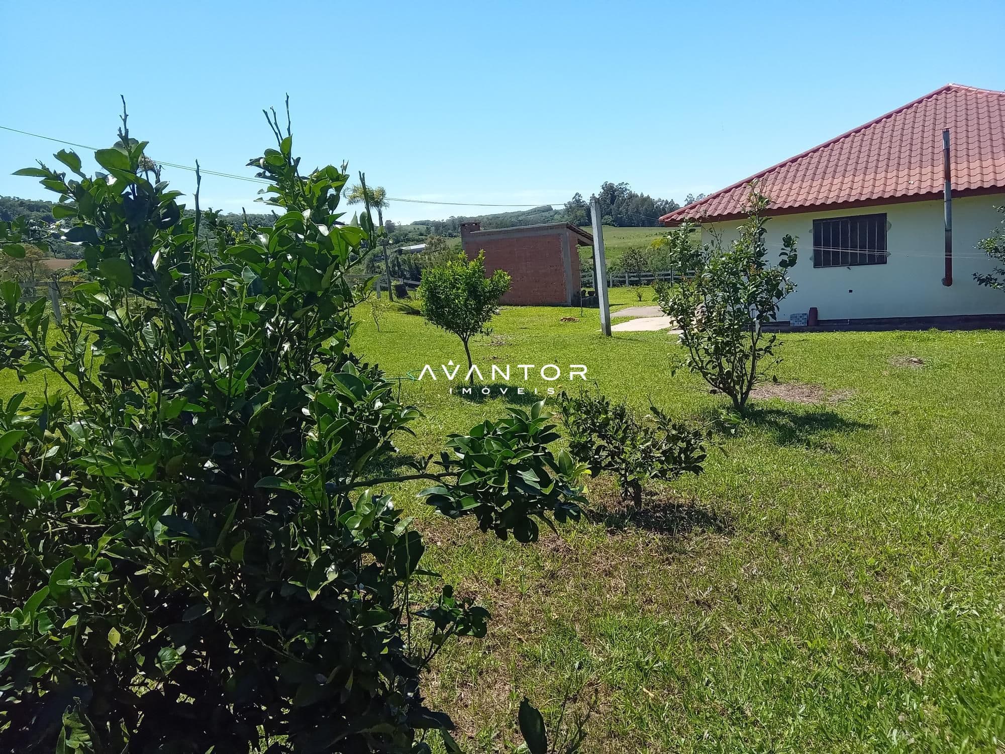 Chácara com 3 quartos à venda em Zona Rural, São Pedro do Sul/RS — foto 18 de 33
