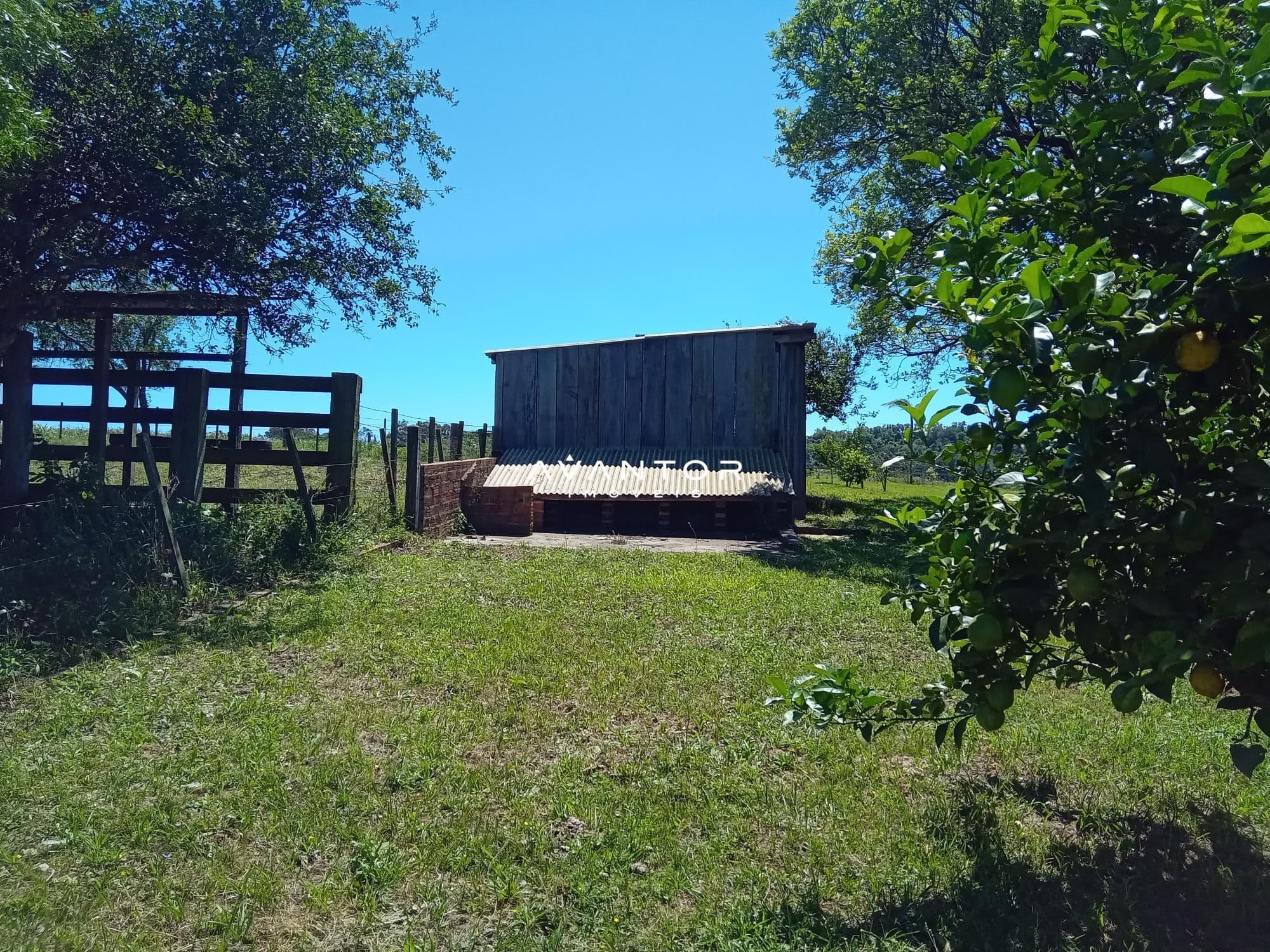 Chácara com 3 quartos à venda em Zona Rural, São Pedro do Sul/RS — foto 19 de 33