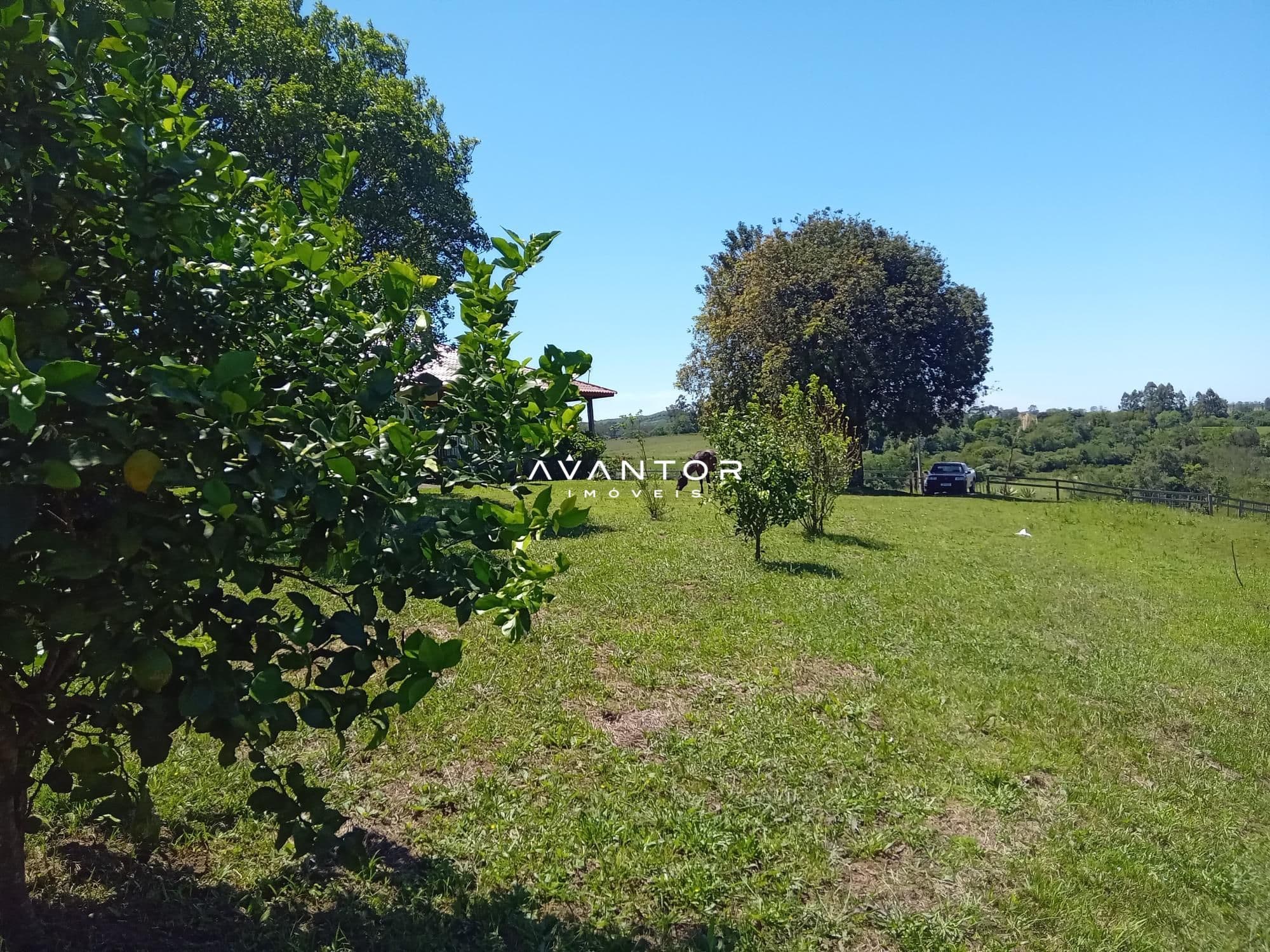Chácara com 3 quartos à venda em Zona Rural, São Pedro do Sul/RS — foto 20 de 33
