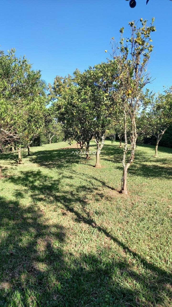 Chácara com 3 quartos à venda em Parque Serrano I, Itaara/RS — foto 40 de 46