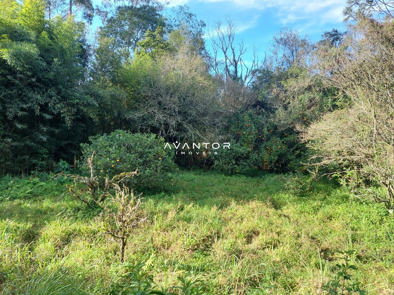 Casa com 3 quartos à venda em Campestre do Menino Deus, Santa Maria/RS — foto 28 de 29