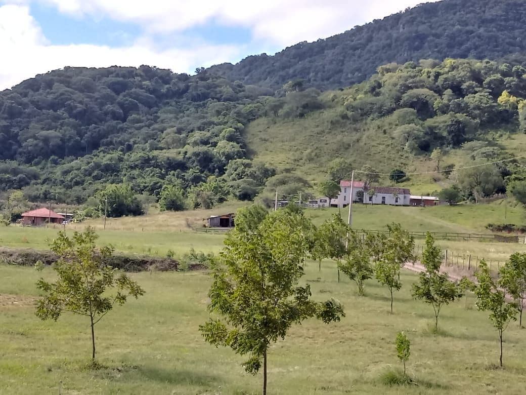 Chácara com 3 quartos à venda em Camobi, Santa Maria/RS — foto 15 de 27