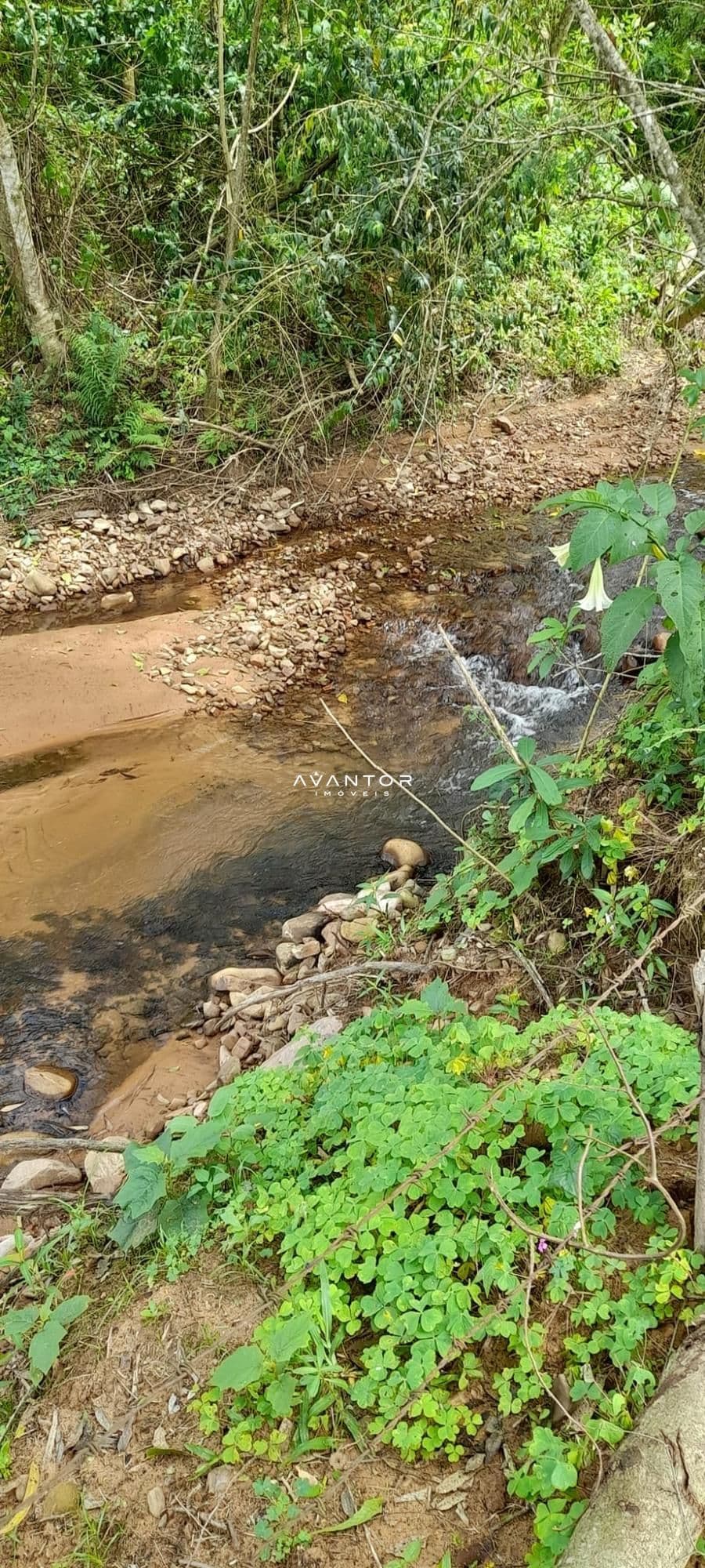 Chácara à venda em Zona rural, São João do Polêsine/RS — foto 2 de 17