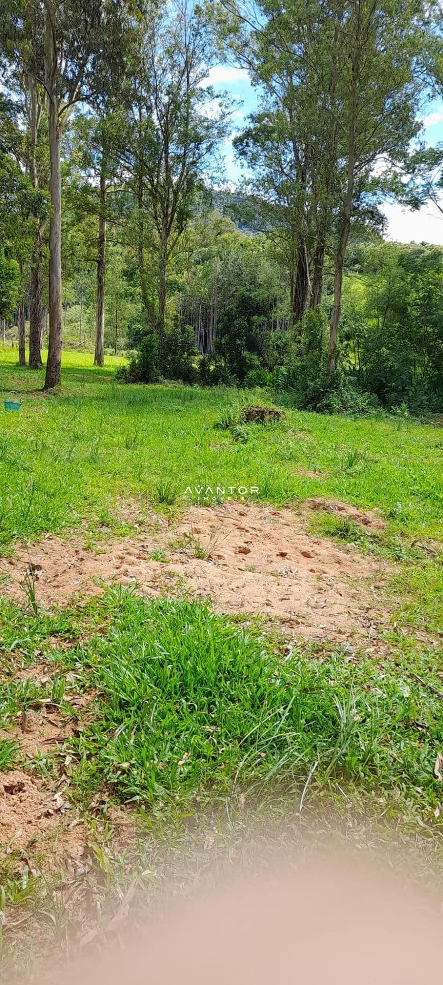 Chácara à venda em Zona rural, São João do Polêsine/RS — foto 5 de 17