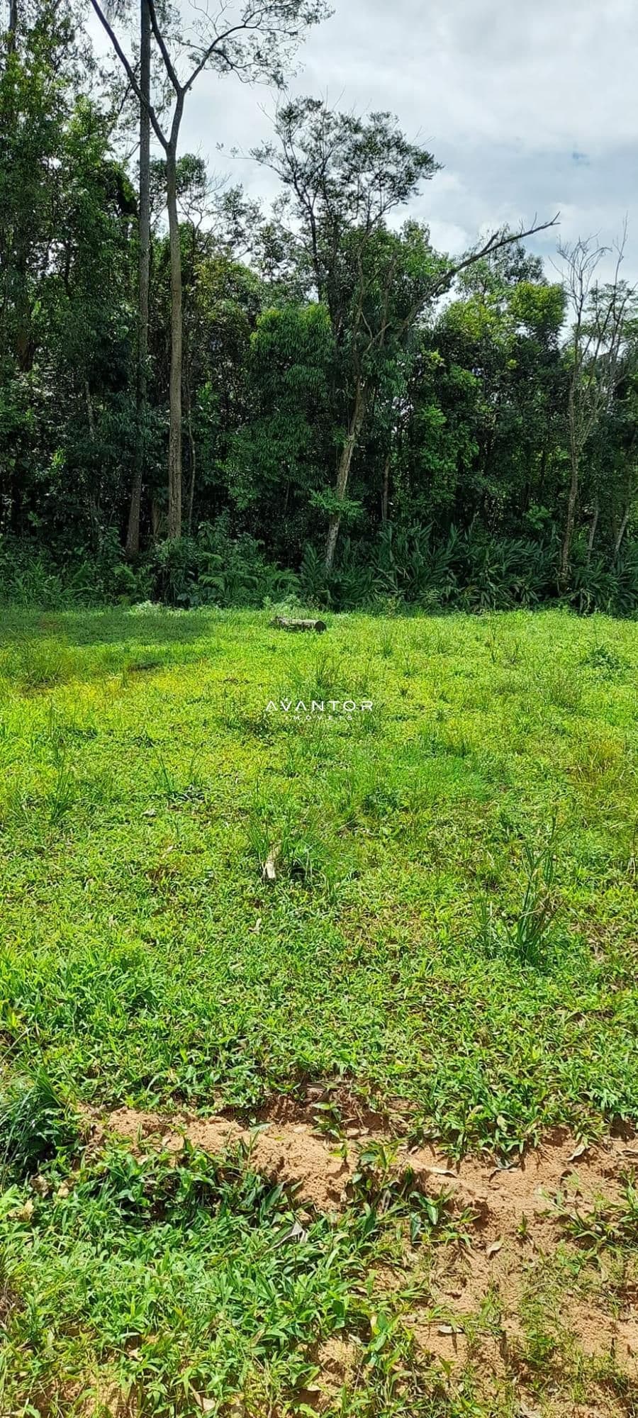 Chácara à venda em Zona rural, São João do Polêsine/RS — foto 6 de 17