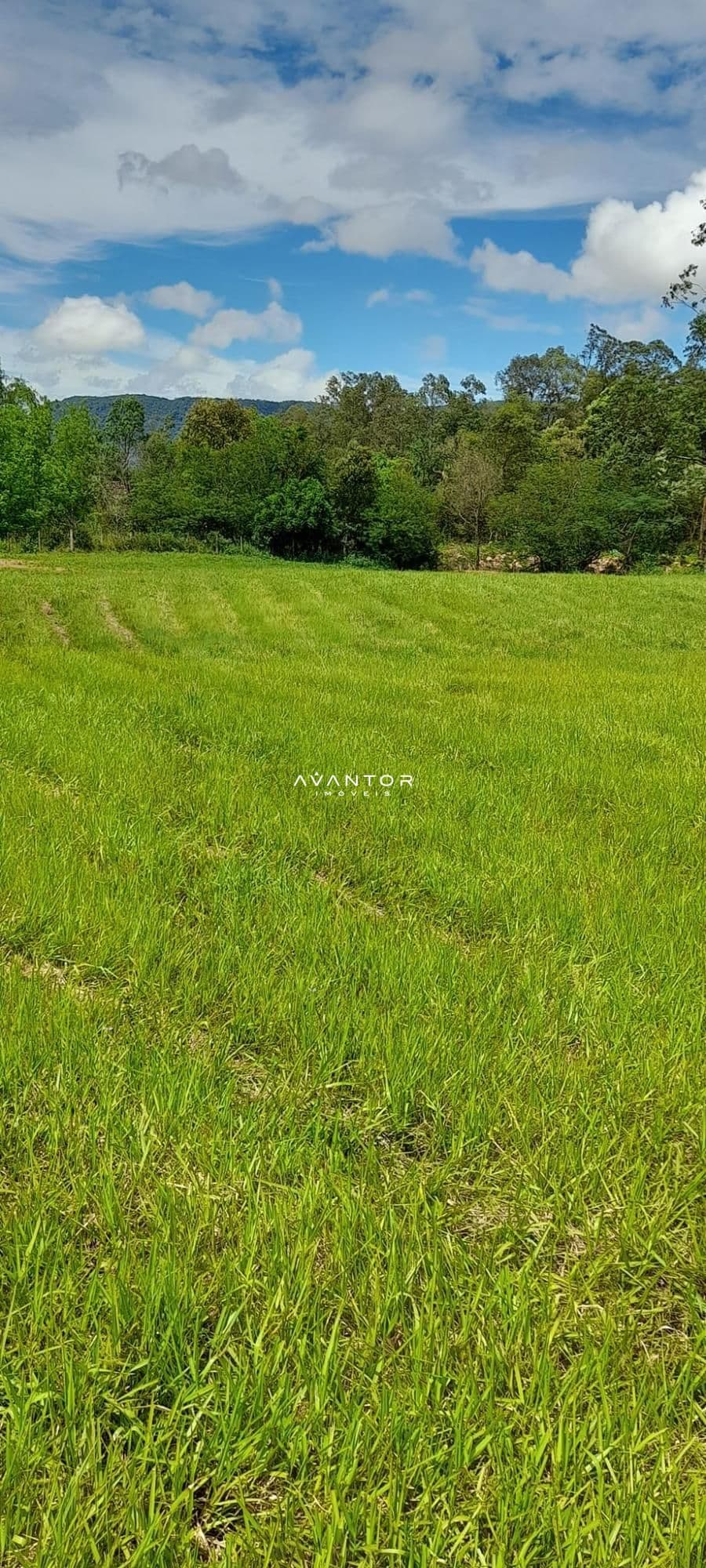 Chácara à venda em Zona rural, São João do Polêsine/RS — foto 8 de 17