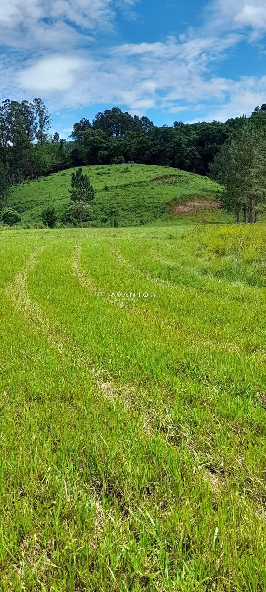 Chácara à venda em Zona rural, São João do Polêsine/RS — foto 9 de 17
