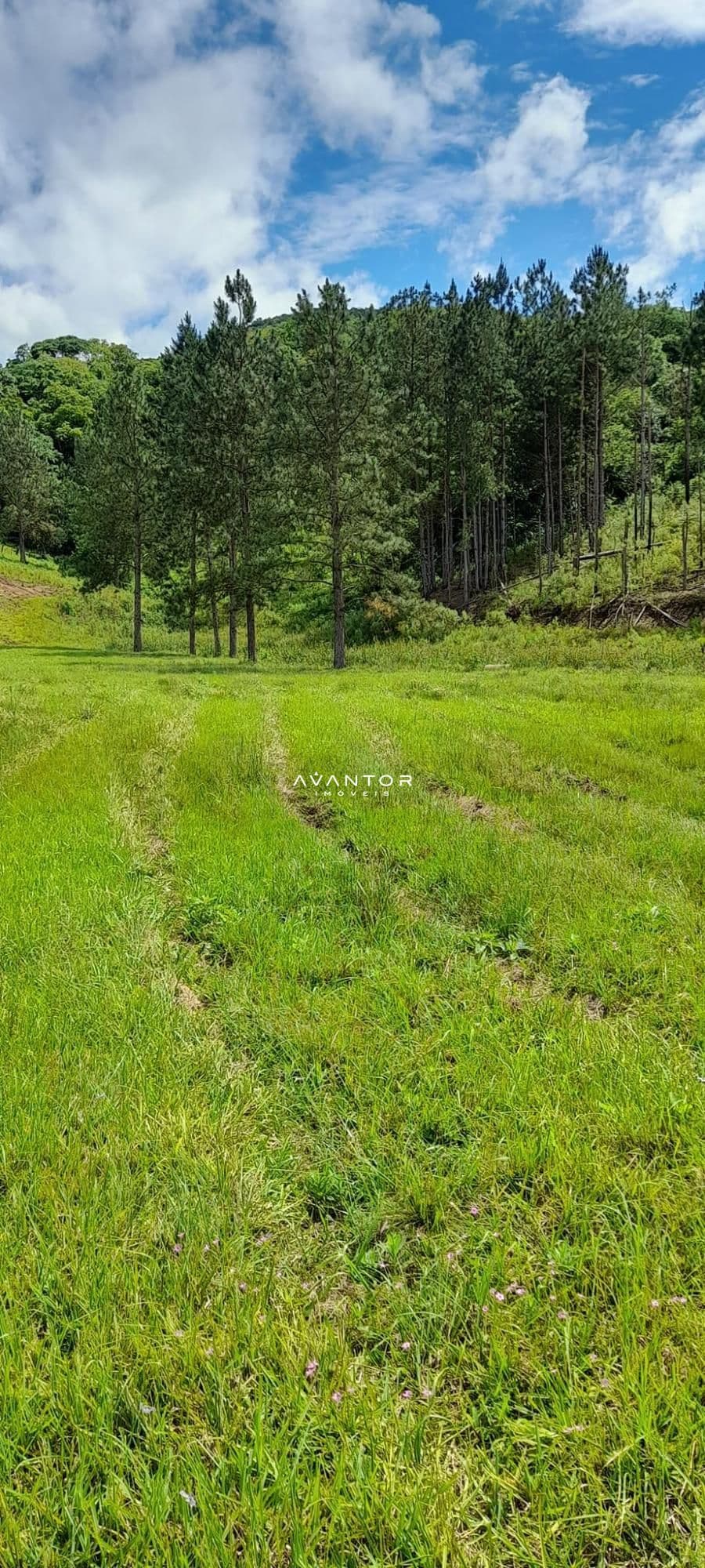 Chácara à venda em Zona rural, São João do Polêsine/RS — foto 10 de 17