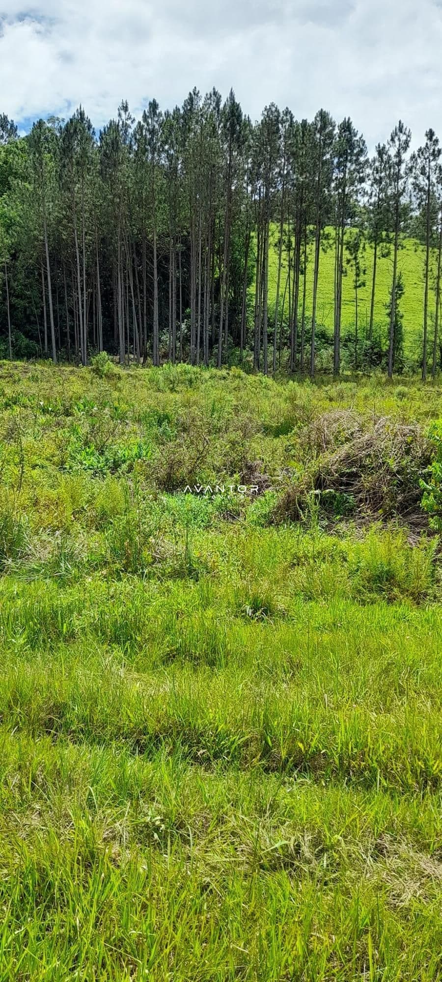 Chácara à venda em Zona rural, São João do Polêsine/RS — foto 13 de 17