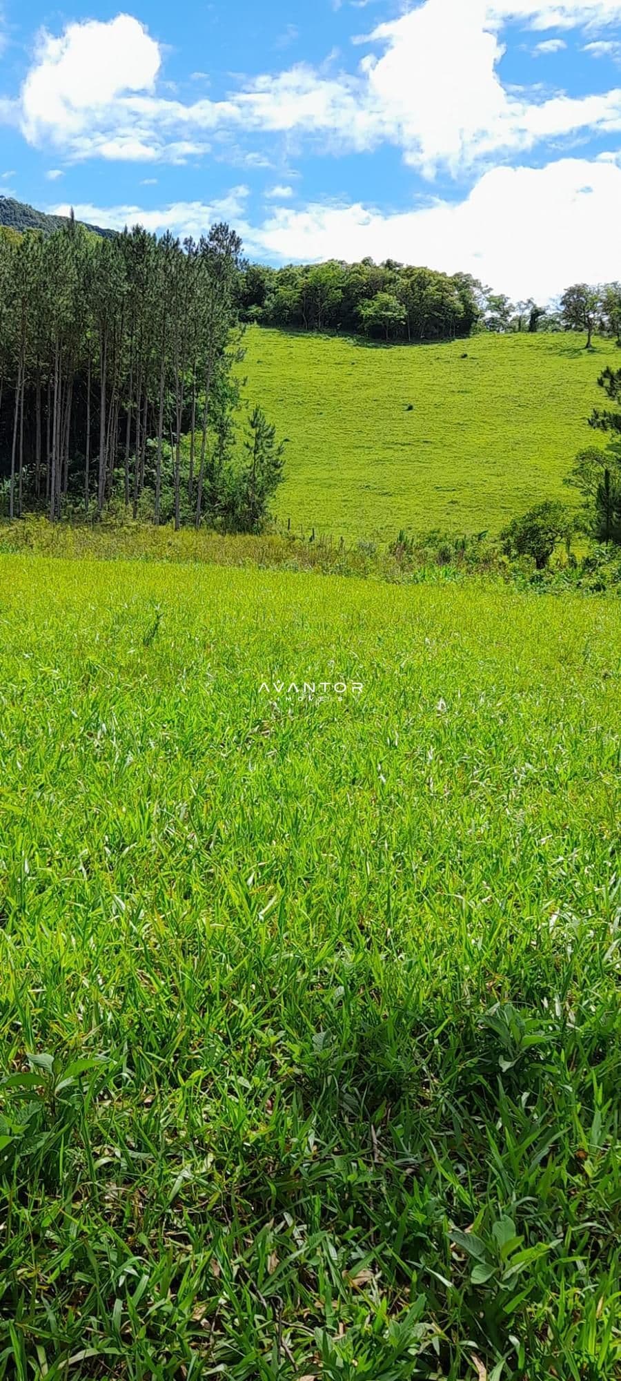 Chácara à venda em Zona rural, São João do Polêsine/RS — foto 14 de 17