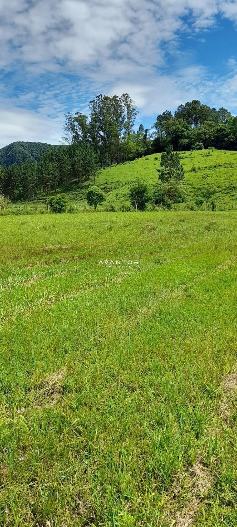 Chácara à venda em Zona rural, São João do Polêsine/RS — foto 15 de 17