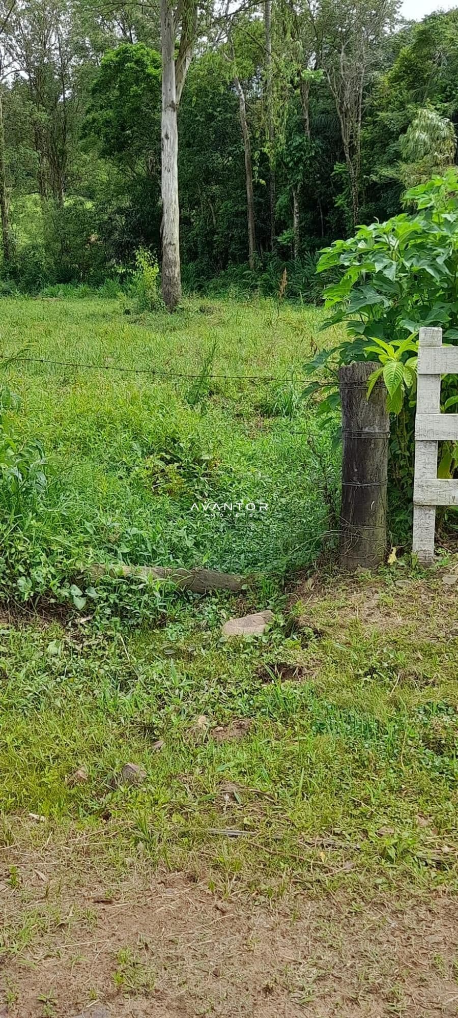 Chácara à venda em Zona rural, São João do Polêsine/RS — foto 16 de 17