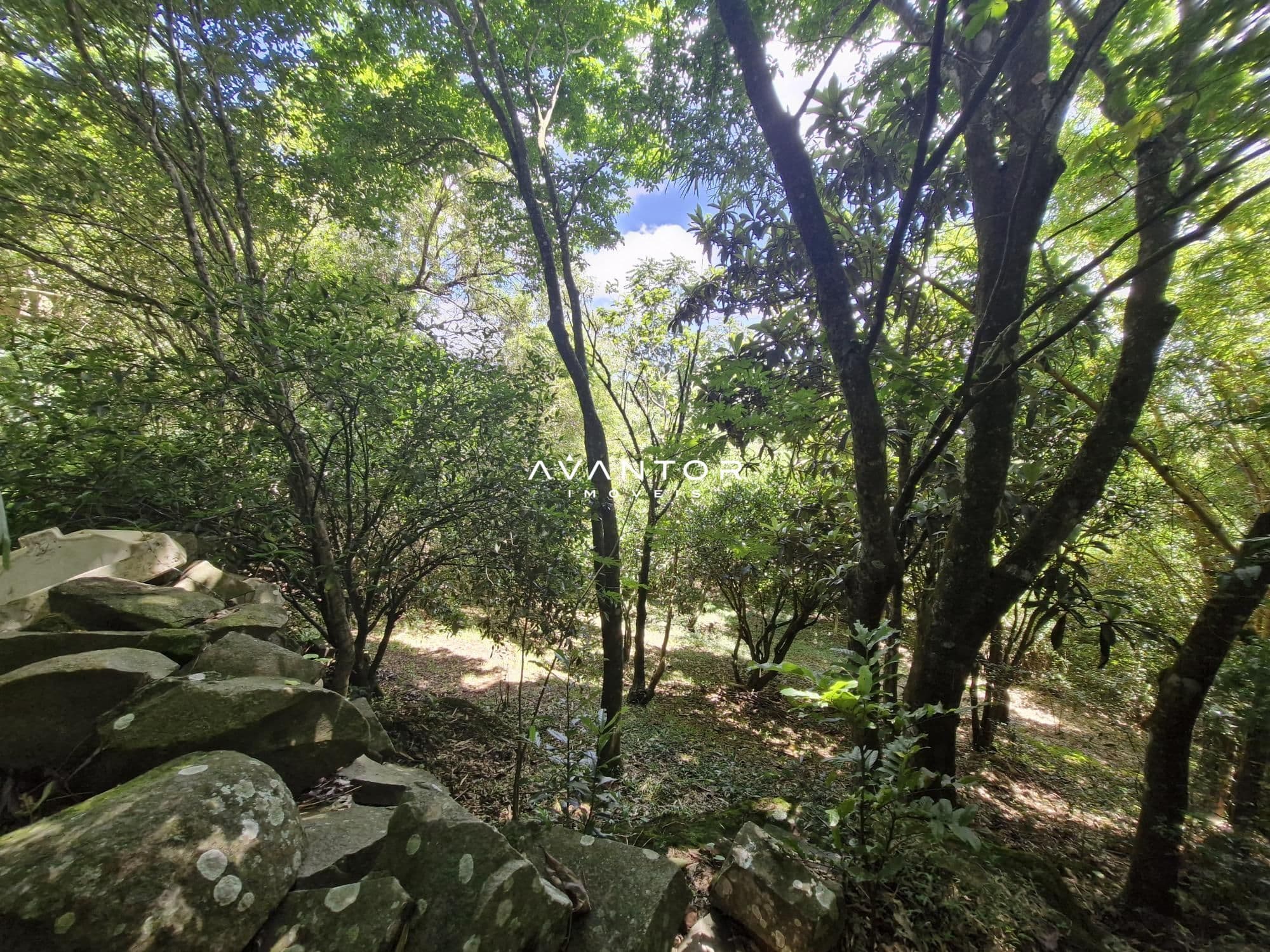 Terreno à venda em Itararé, Santa Maria/RS — foto 4 de 6