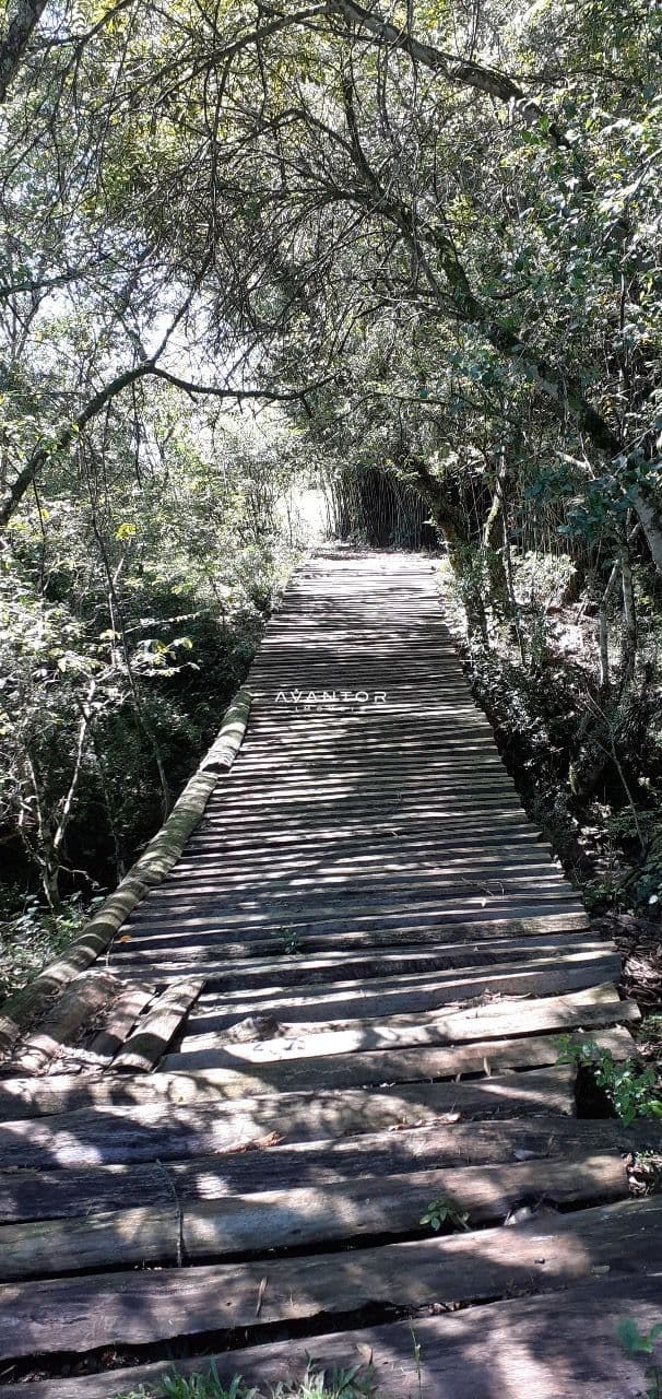 Chácara com 3 quartos à venda em Zona rural, Vila Nova do Sul/RS — foto 4 de 35