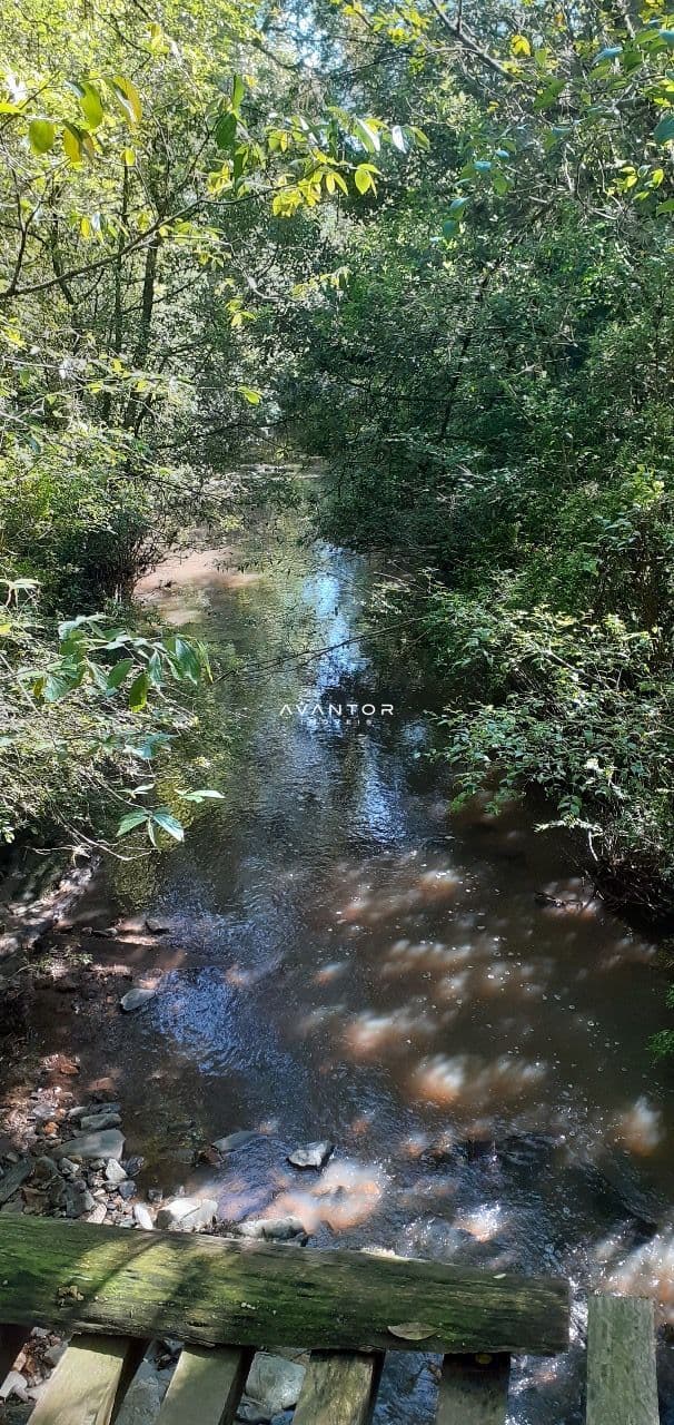 Chácara com 3 quartos à venda em Zona rural, Vila Nova do Sul/RS — foto 5 de 35