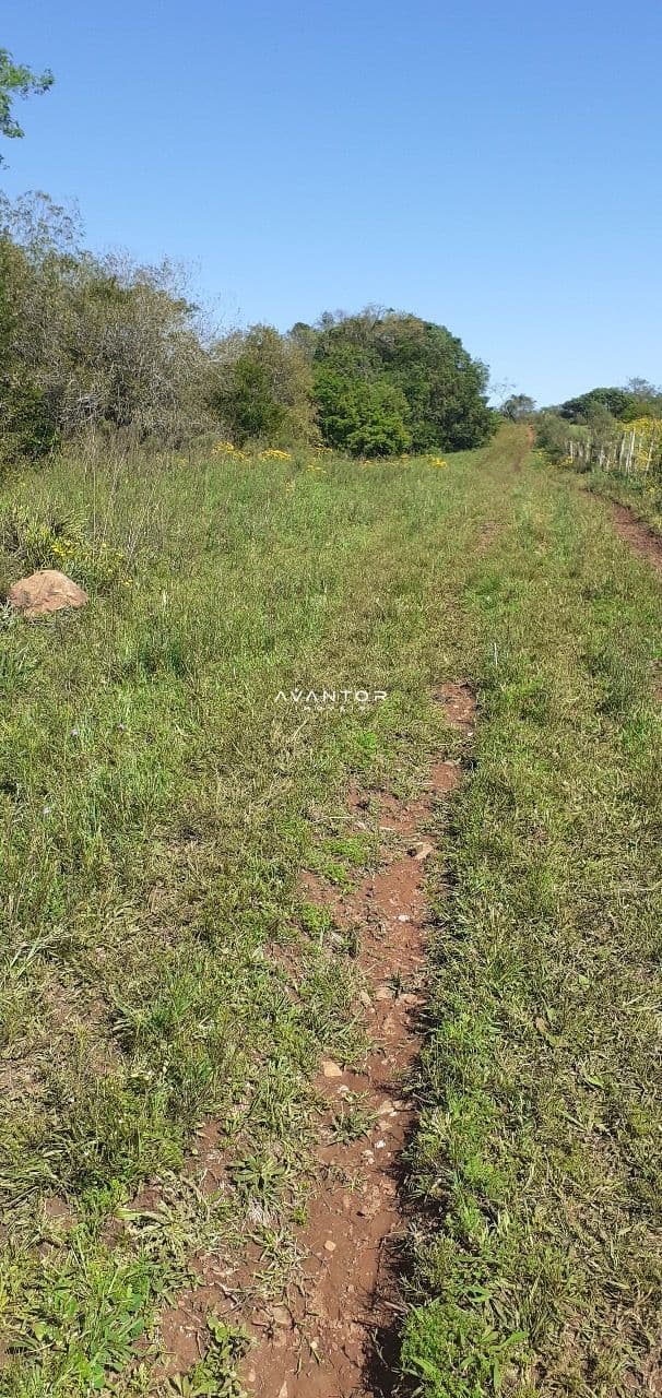 Chácara com 3 quartos à venda em Zona rural, Vila Nova do Sul/RS — foto 12 de 35