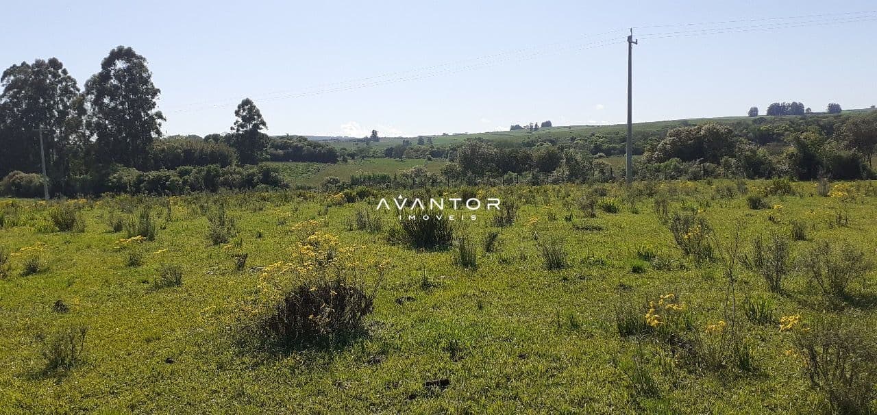 Chácara com 3 quartos à venda em Zona rural, Vila Nova do Sul/RS — foto 14 de 35