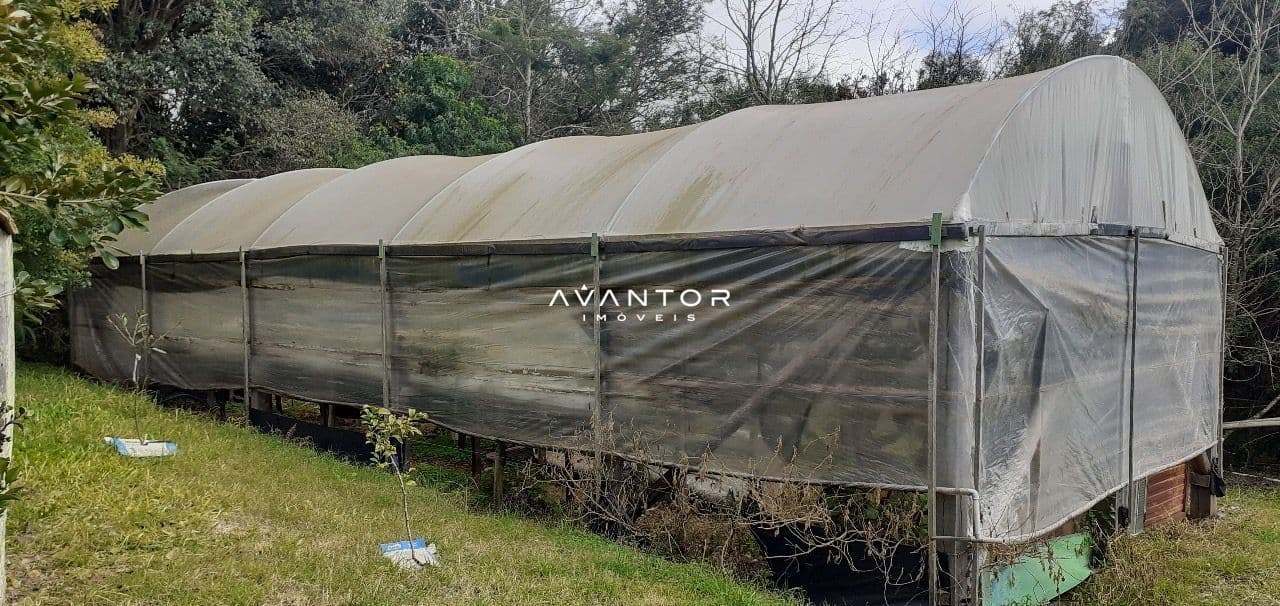 Chácara com 3 quartos à venda em Zona rural, Vila Nova do Sul/RS — foto 18 de 35