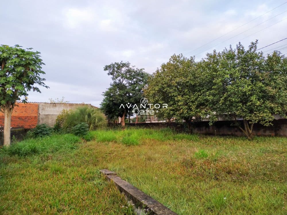 Terreno à venda em Pinheiro Machado, Santa Maria/RS — foto 3 de 4