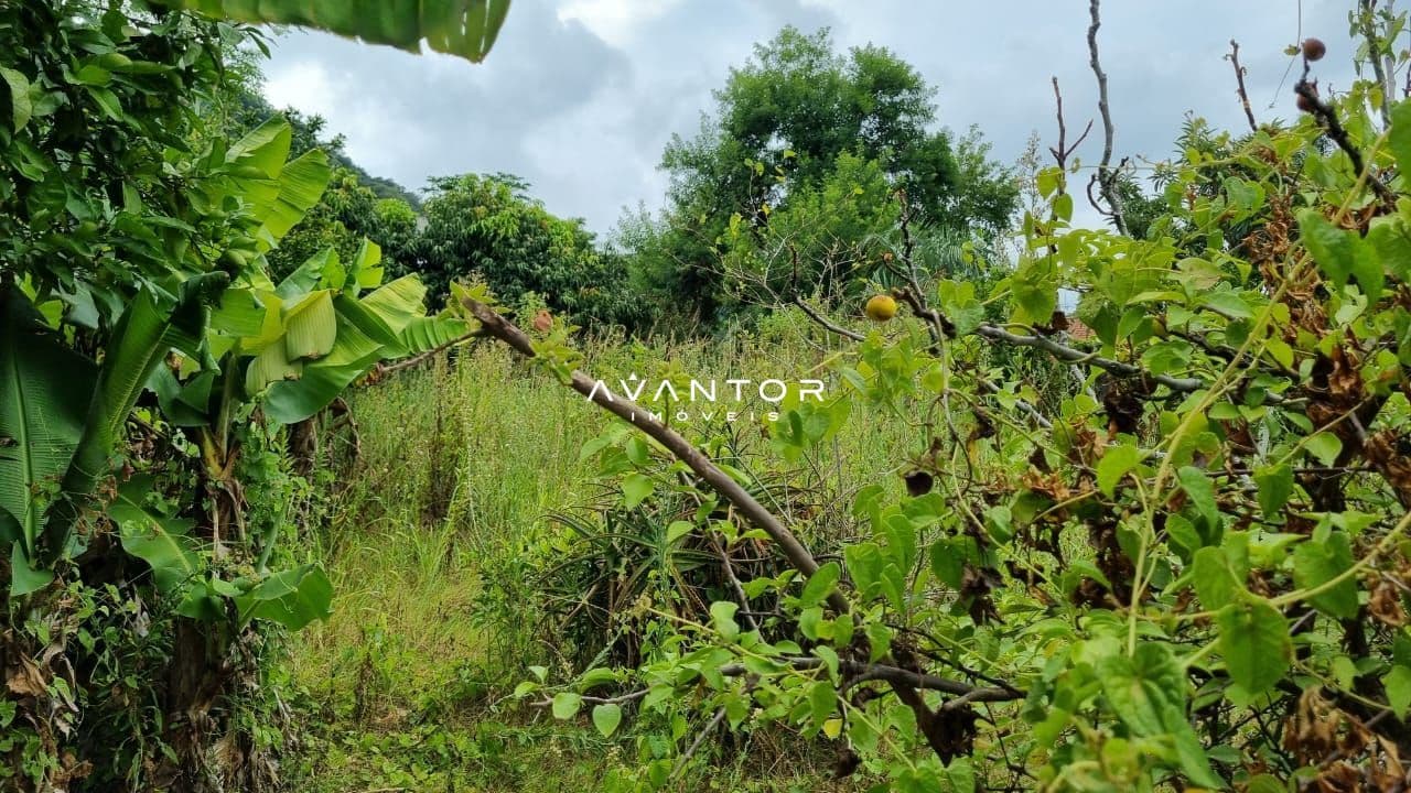 Terreno à venda em Nossa Senhora do Perpétuo Socorro, Santa Maria/RS — foto 5 de 11