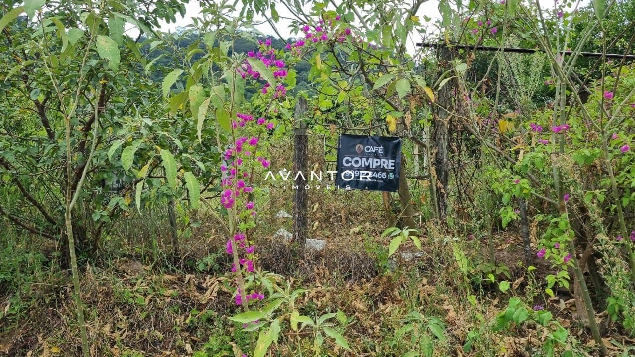 Terreno à venda em Nossa Senhora do Perpétuo Socorro, Santa Maria/RS — foto 2 de 12