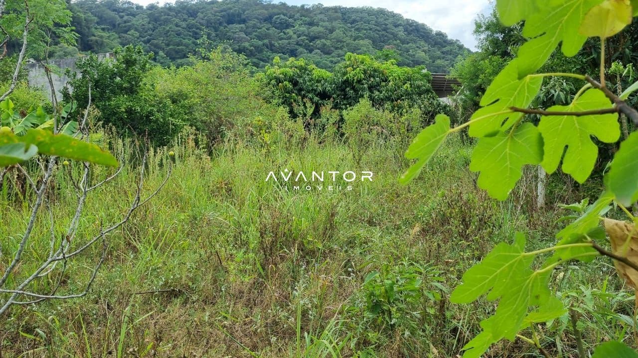 Terreno à venda em Nossa Senhora do Perpétuo Socorro, Santa Maria/RS — foto 3 de 12